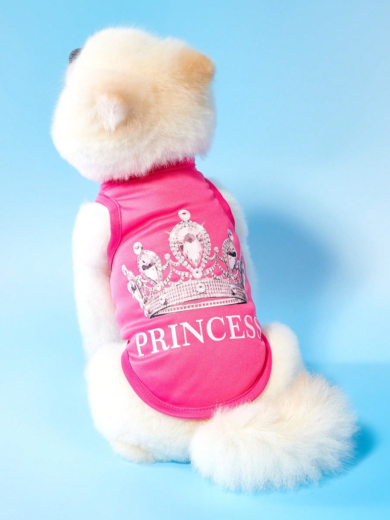 2pcs Princess Style Diamond Crown & English Text Print Breathable Cool Dog/Cat Vest/Top, Suitable For Pets