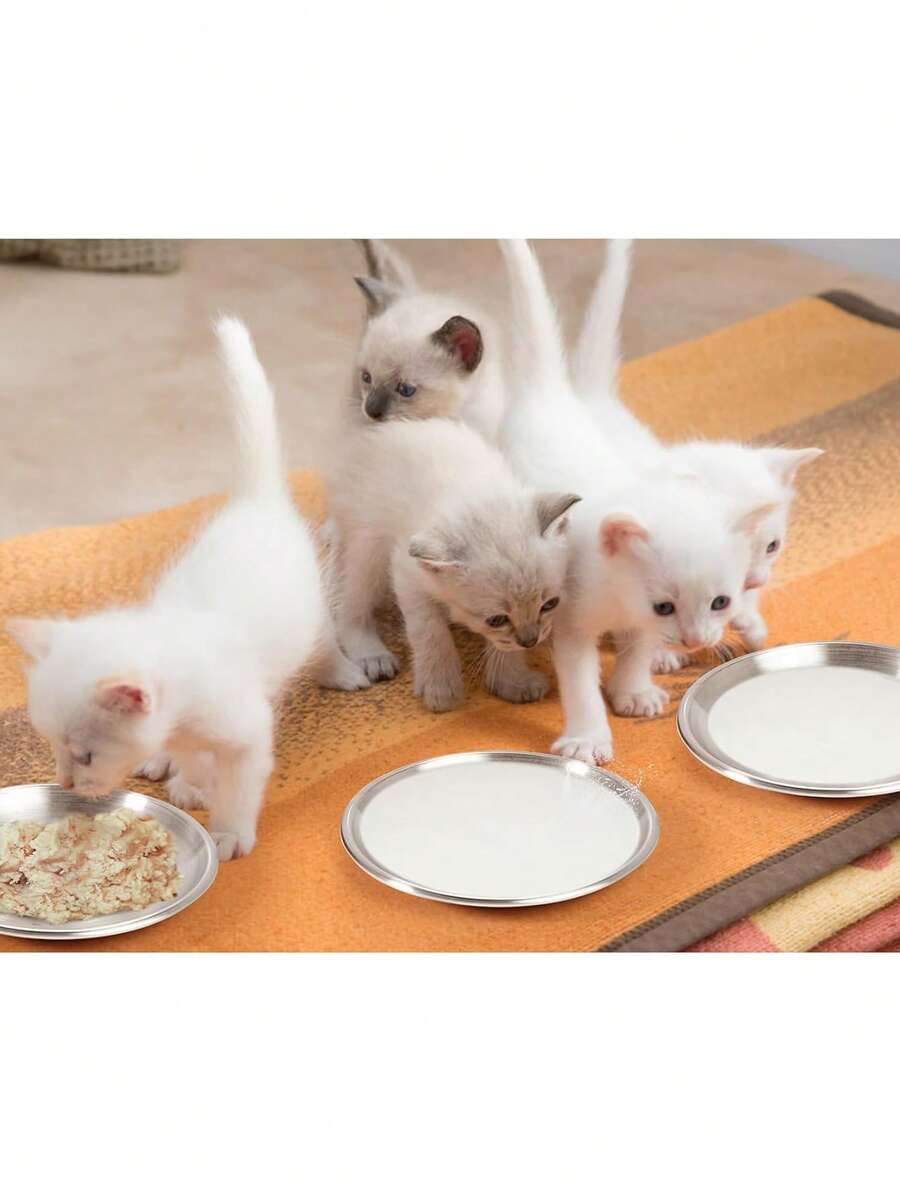 6.7 inch stainless steel cat food bowl with cute paw print design and shallow anti-whisker fatigue shape for kittens