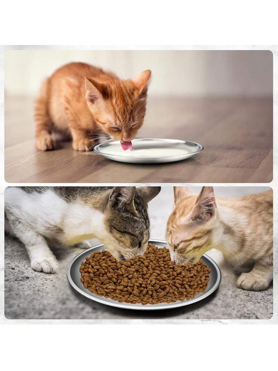 6.7 inch stainless steel cat food bowl with cute paw print design and shallow anti-whisker fatigue shape for kittens