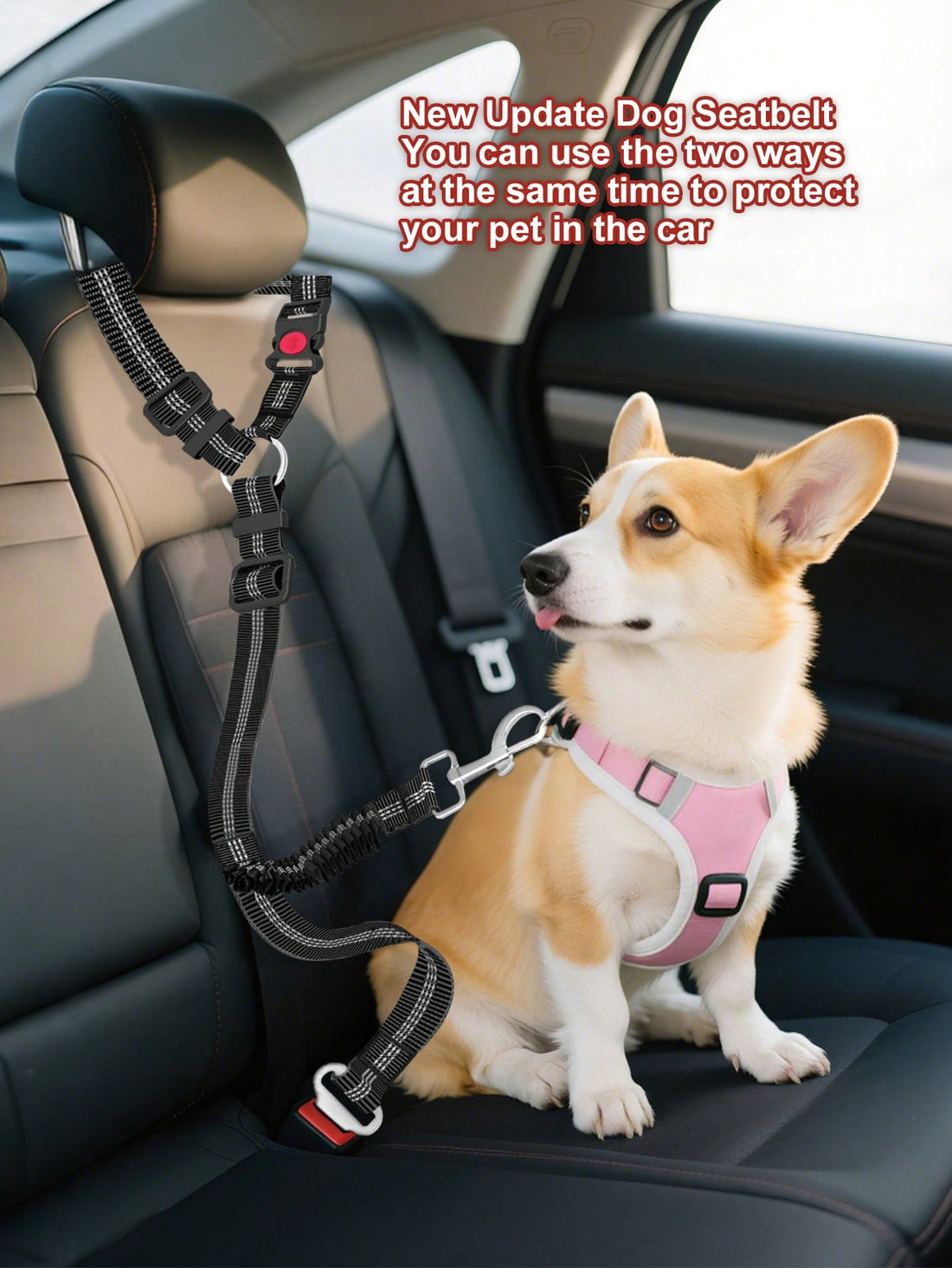 1pc Multipurpose Pet Car Seat Belt, Provides 2-In-1 Protection For Pets, Can Also Be Used As A Leash, Adjustable Length, Elastic Cord Prevents Sudden Impact, Outdoor Dog Leash