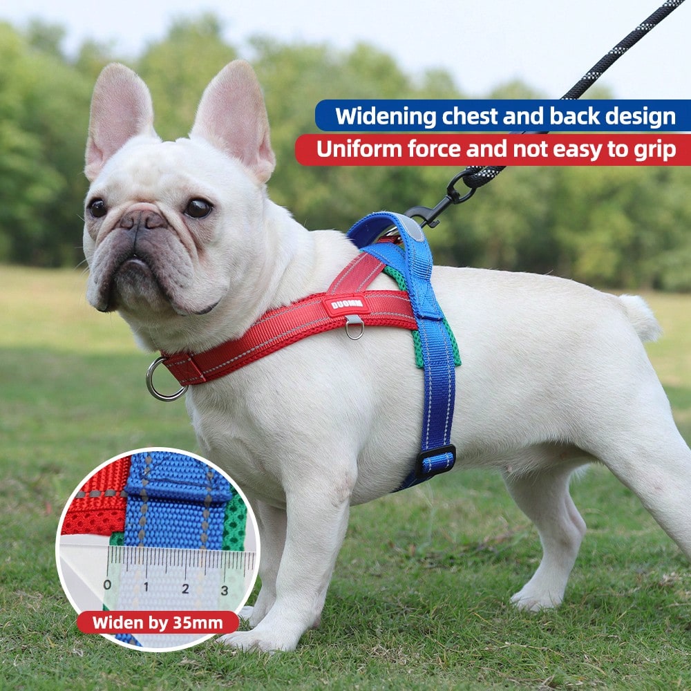 Multicolor soft padded dog harness with adjustable chest strap, reflective detail, and anti-pull vest design for small and medium dogs.
