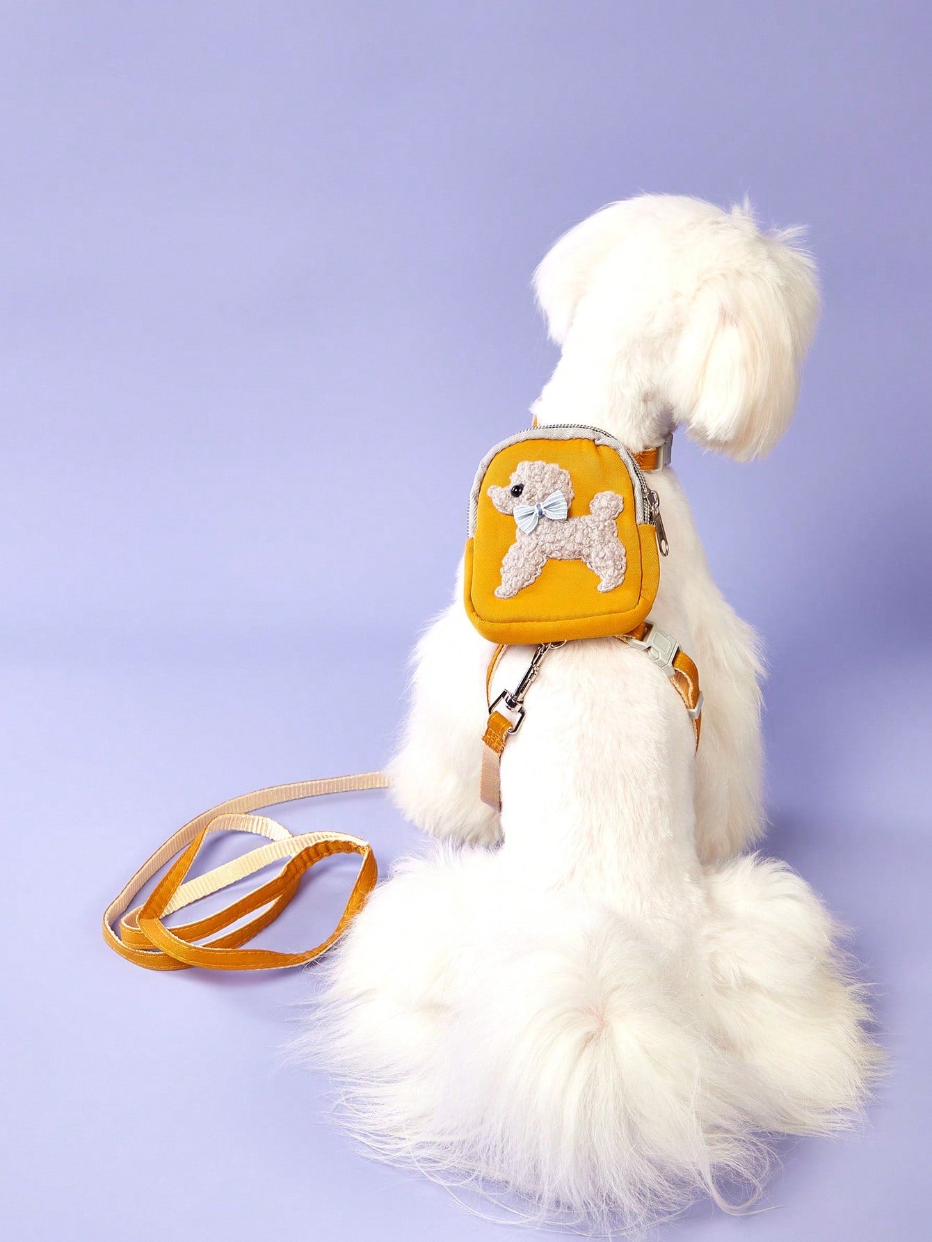 Multicolor Halloween polyester pet carrier backpack set with leash, chest and back strap, and snack bag for cats and dogs