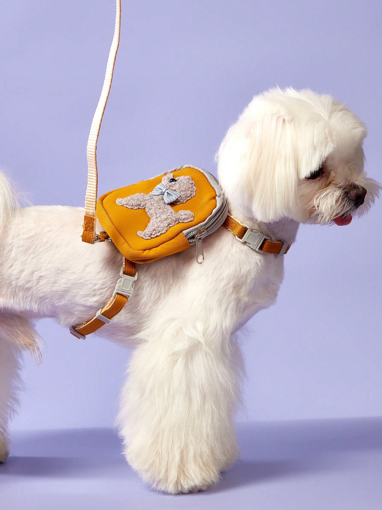 Multicolor Halloween polyester pet carrier backpack set with leash, chest and back strap, and snack bag for cats and dogs