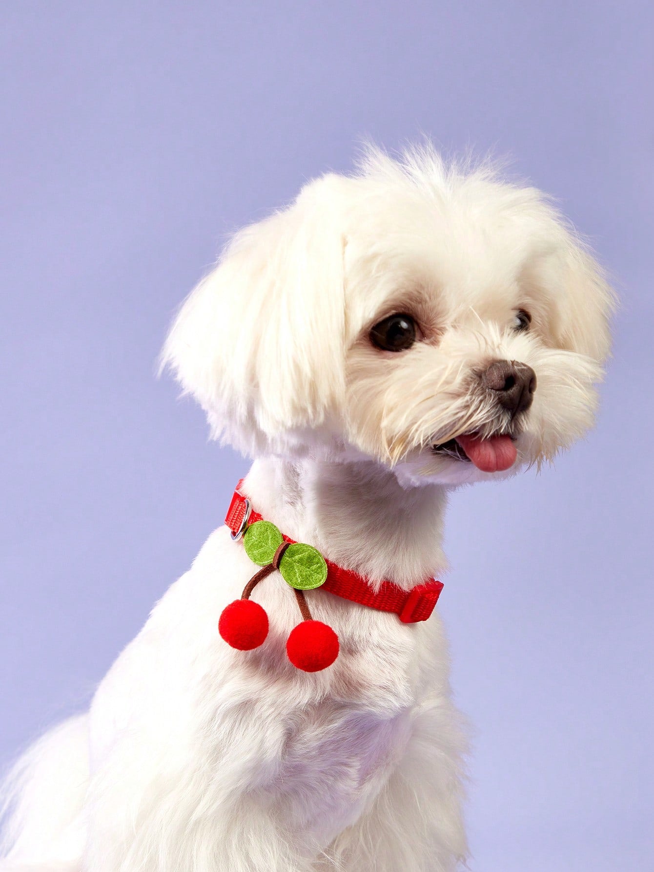 Red polyamide pet collar with cherry decor for cats and dogs