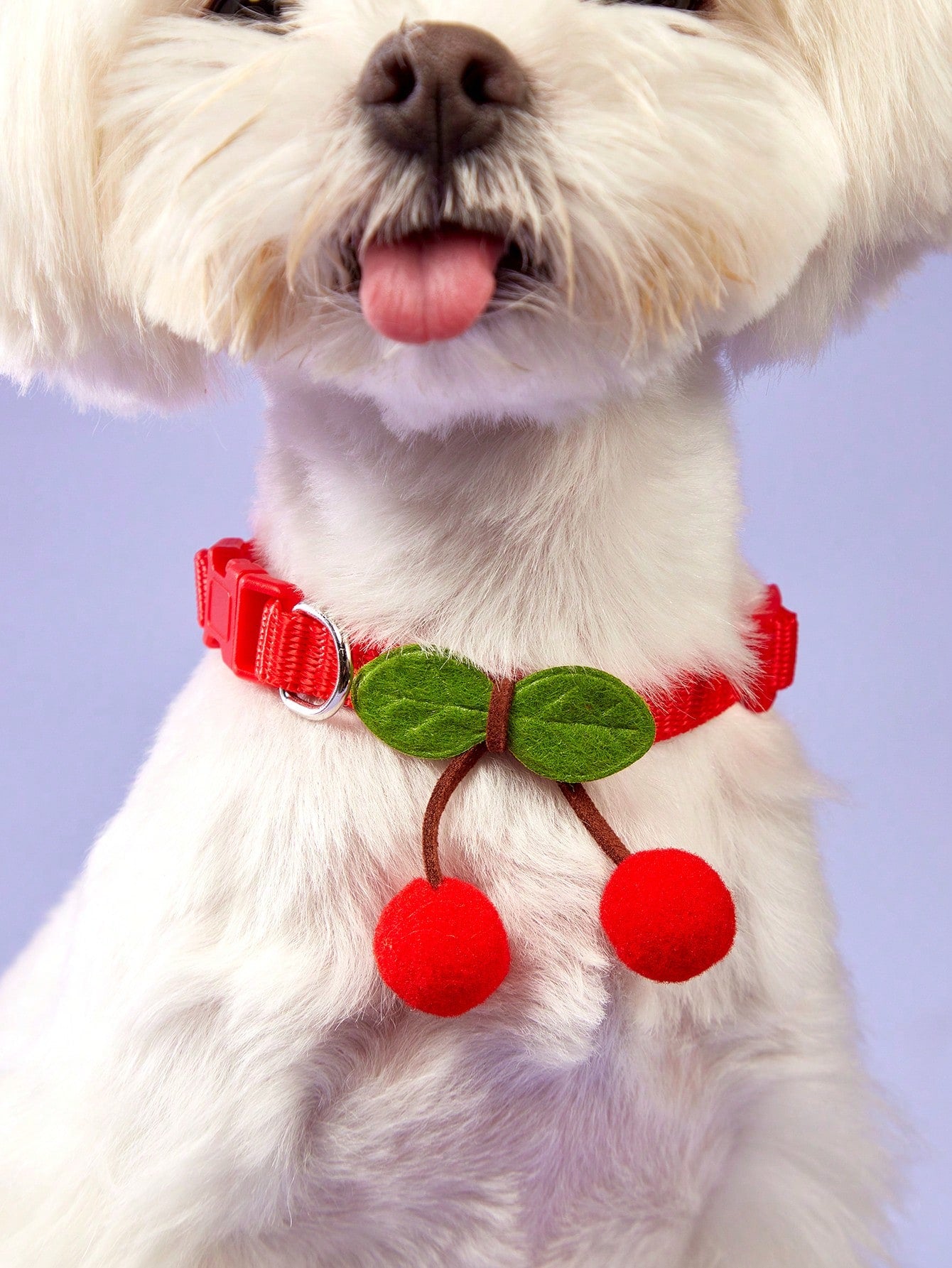 Red polyamide pet collar with cherry decor for cats and dogs