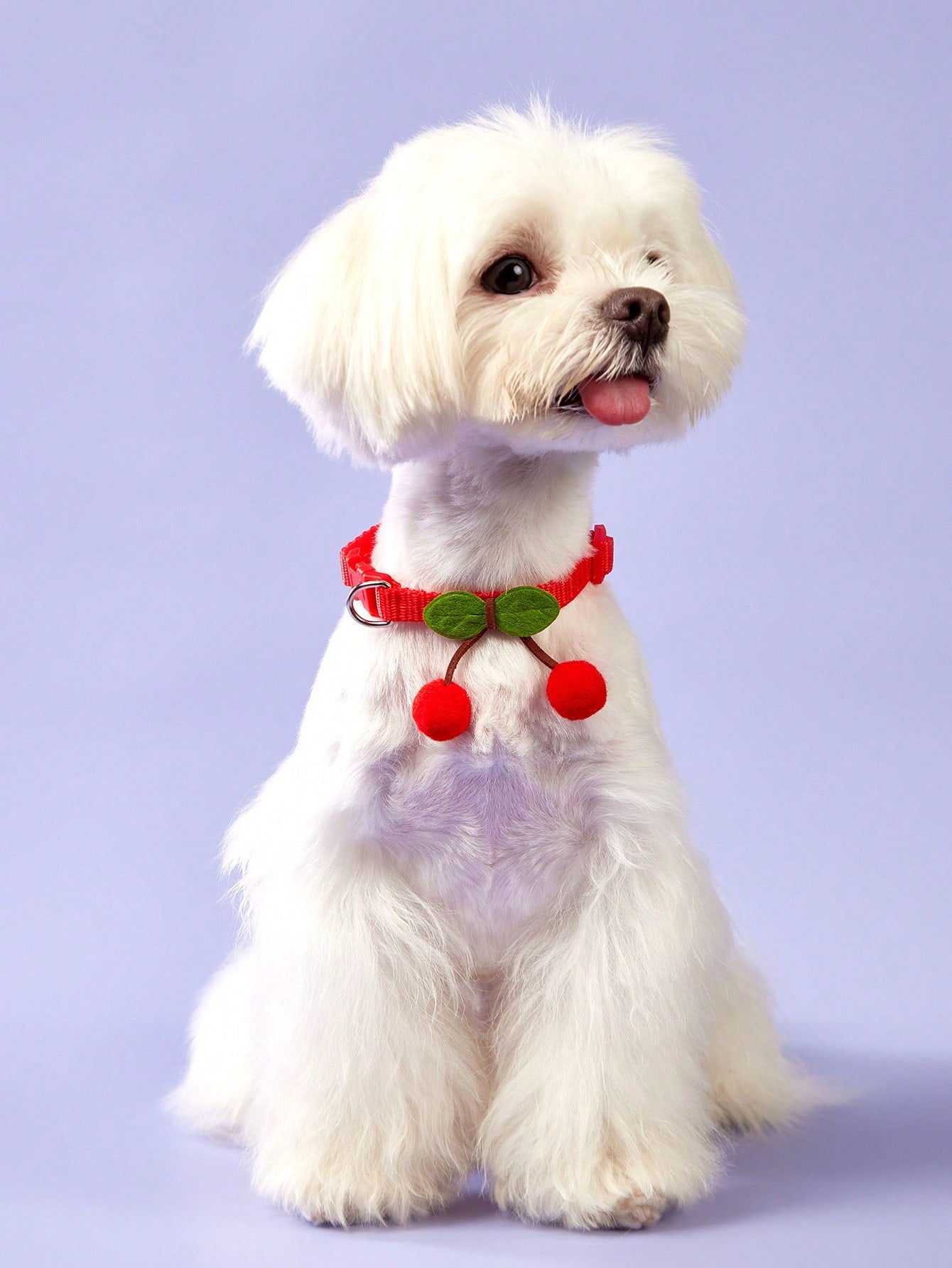 Red polyamide pet collar with cherry decor for cats and dogs