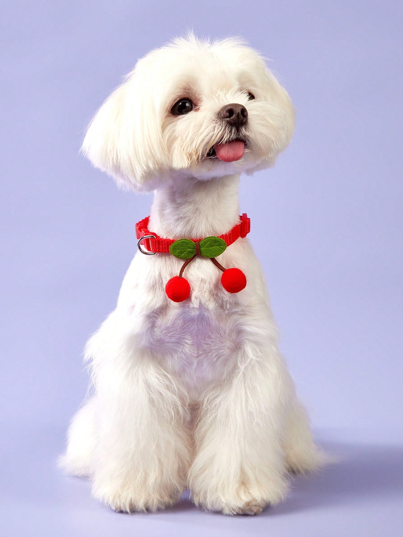 Red polyamide pet collar with cherry decor for cats and dogs