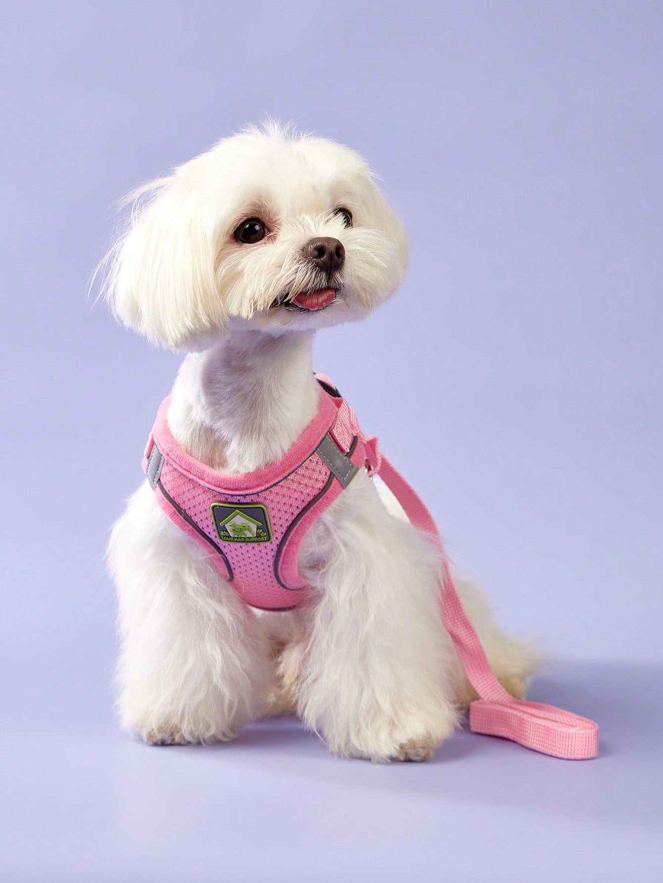 Pink reflective mesh vest-style pet harness with leash for cats and dogs, featuring adjustable chest and back straps for comfortable outdoor walking.