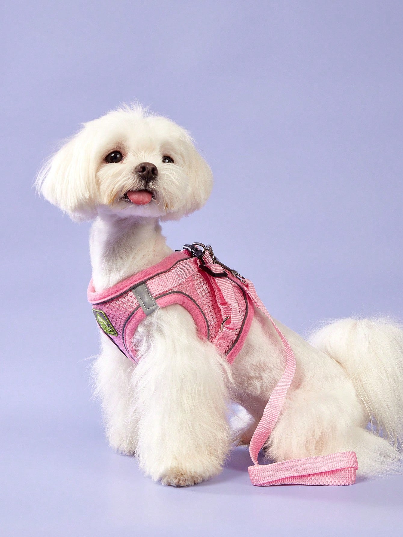 Pink reflective mesh vest-style pet harness with leash for cats and dogs, featuring adjustable chest and back straps for comfortable outdoor walking.