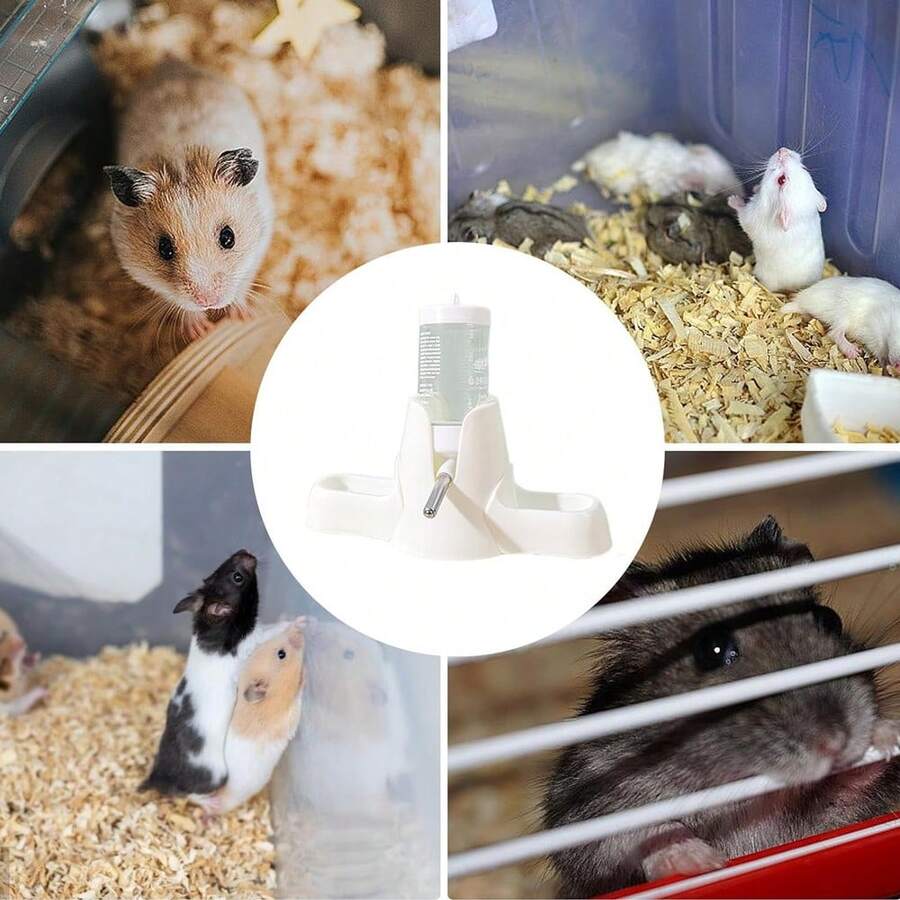 Multicolor hamster water bottle and drinker feeder holder for small animals