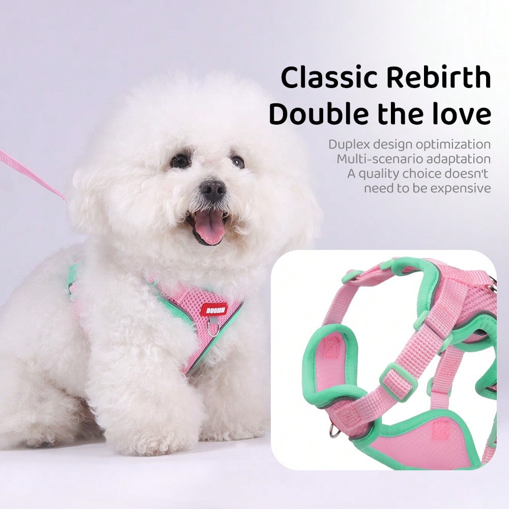 Multicolor adjustable polyester pet harness and leash set with cartoon pattern for cats and small dogs, designed for breathable outdoor walking.