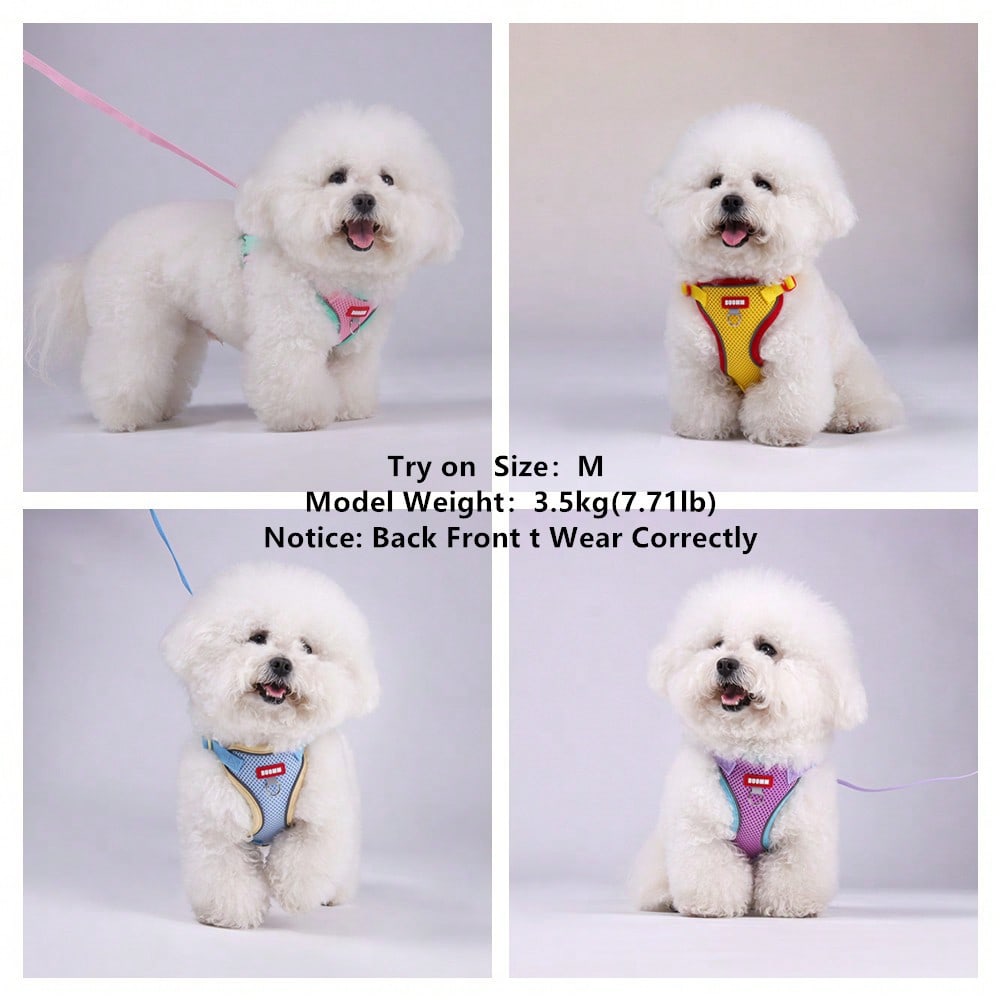 Multicolor adjustable polyester pet harness and leash set with cartoon pattern for cats and small dogs, designed for breathable outdoor walking.