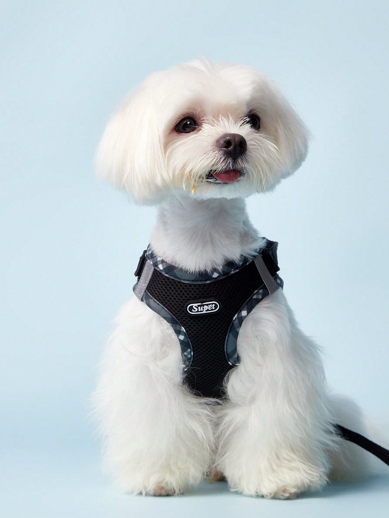 Black reflective plaid edge chest and back pet harness set with included leash for small dogs and cats