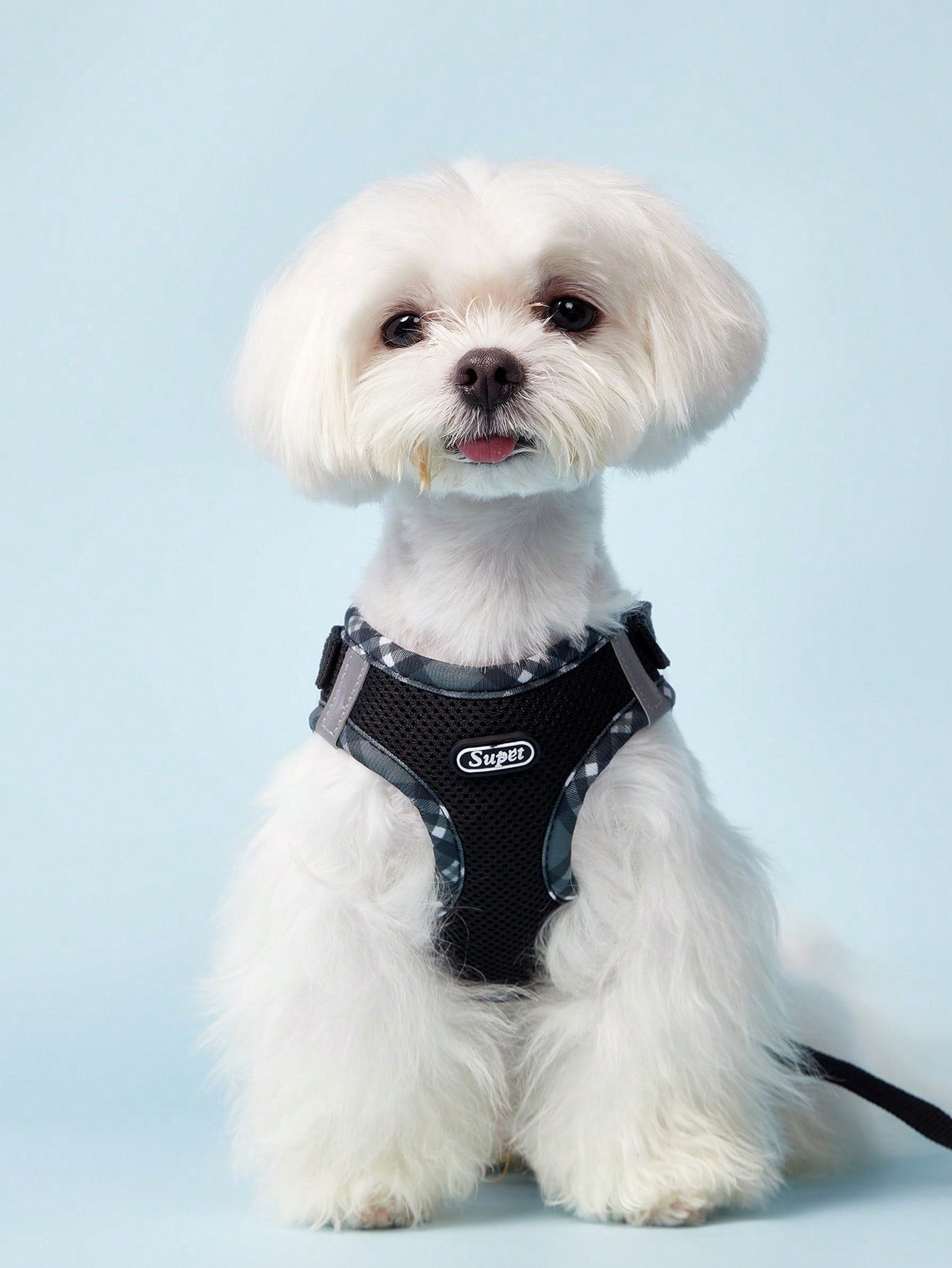 Black reflective plaid edge chest and back pet harness set with included leash for small dogs and cats