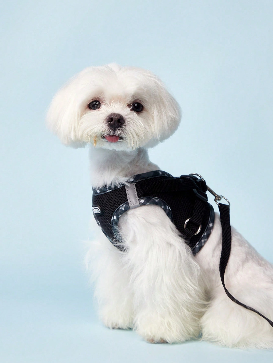 Black reflective plaid edge chest and back pet harness set with included leash for small dogs and cats