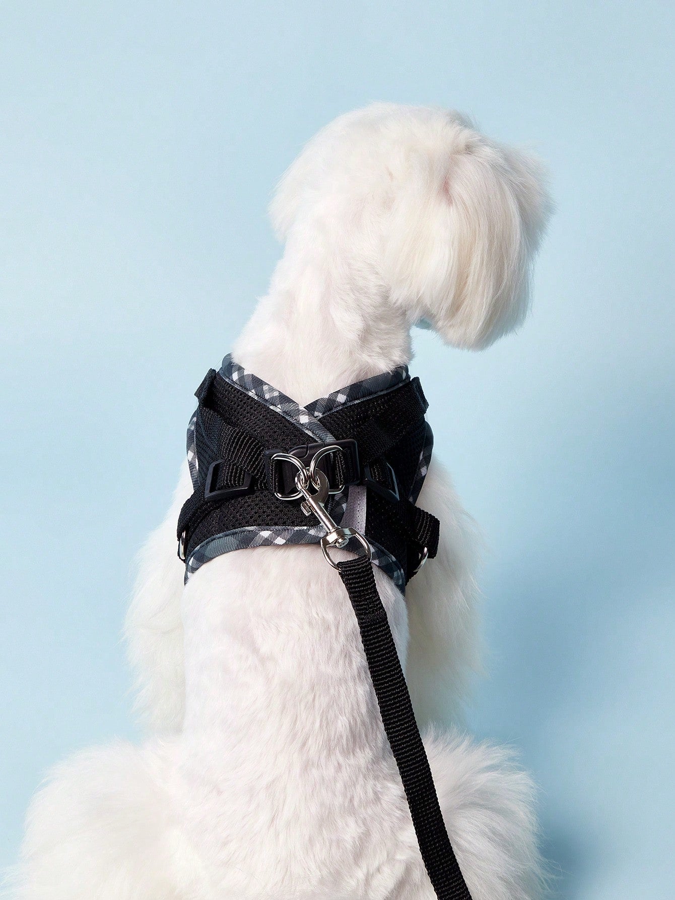 Black reflective plaid edge chest and back pet harness set with included leash for small dogs and cats