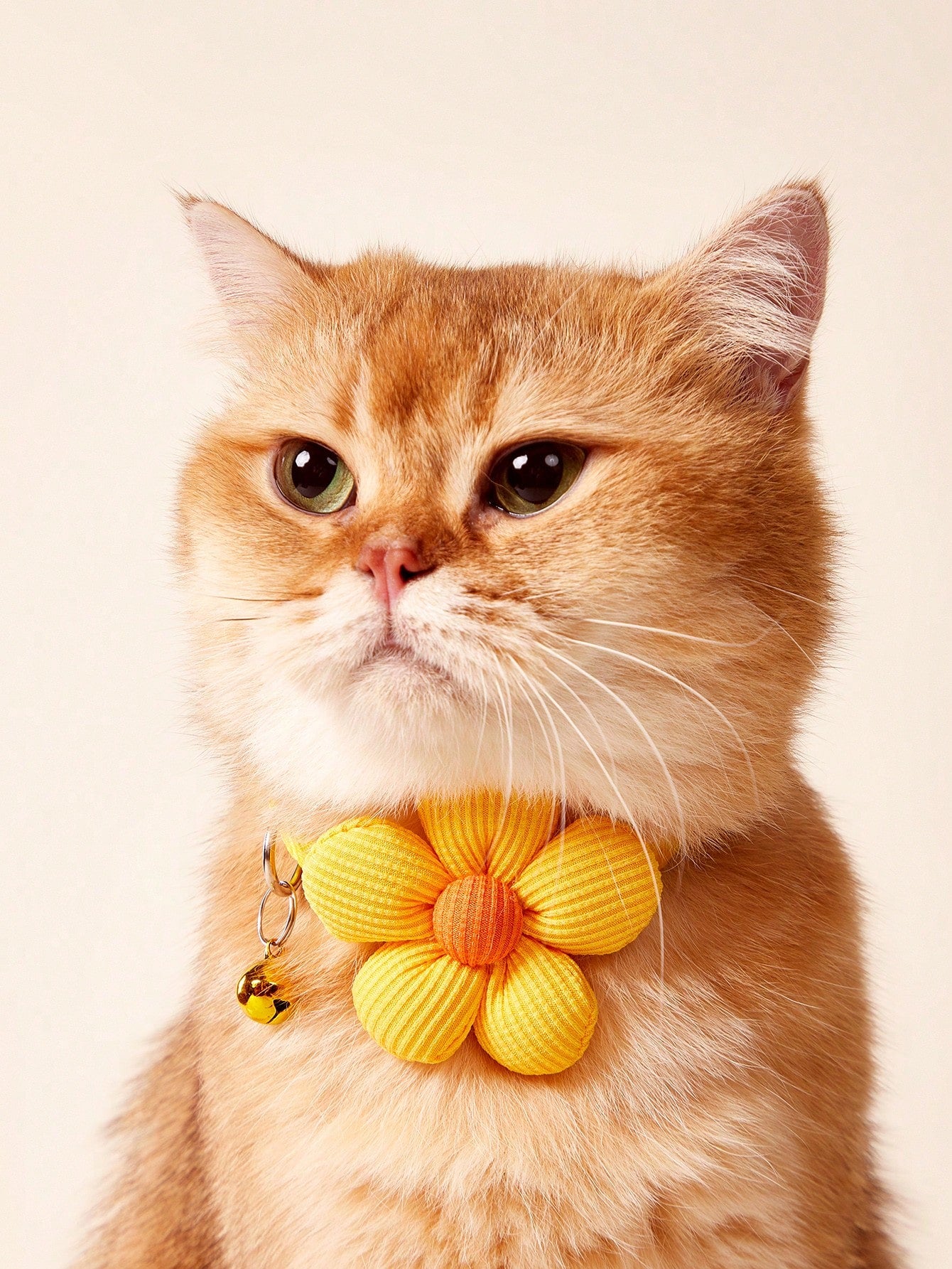 Small cat and dog pet collar with 3D floral bow knot and bell, made from polyamide in a plain multicolor design