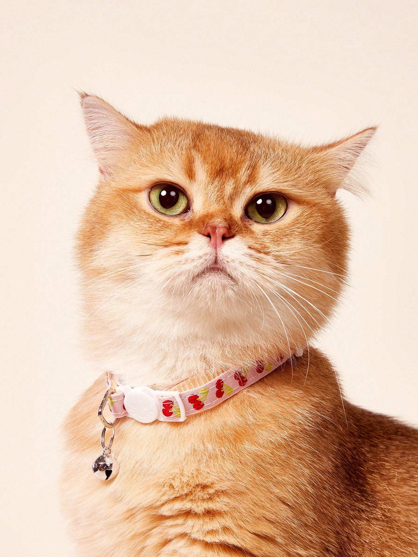 Multicolor adjustable pet collar with embroidered apple or cherry fruit pattern, buckle closure, and bell for cats and small dogs