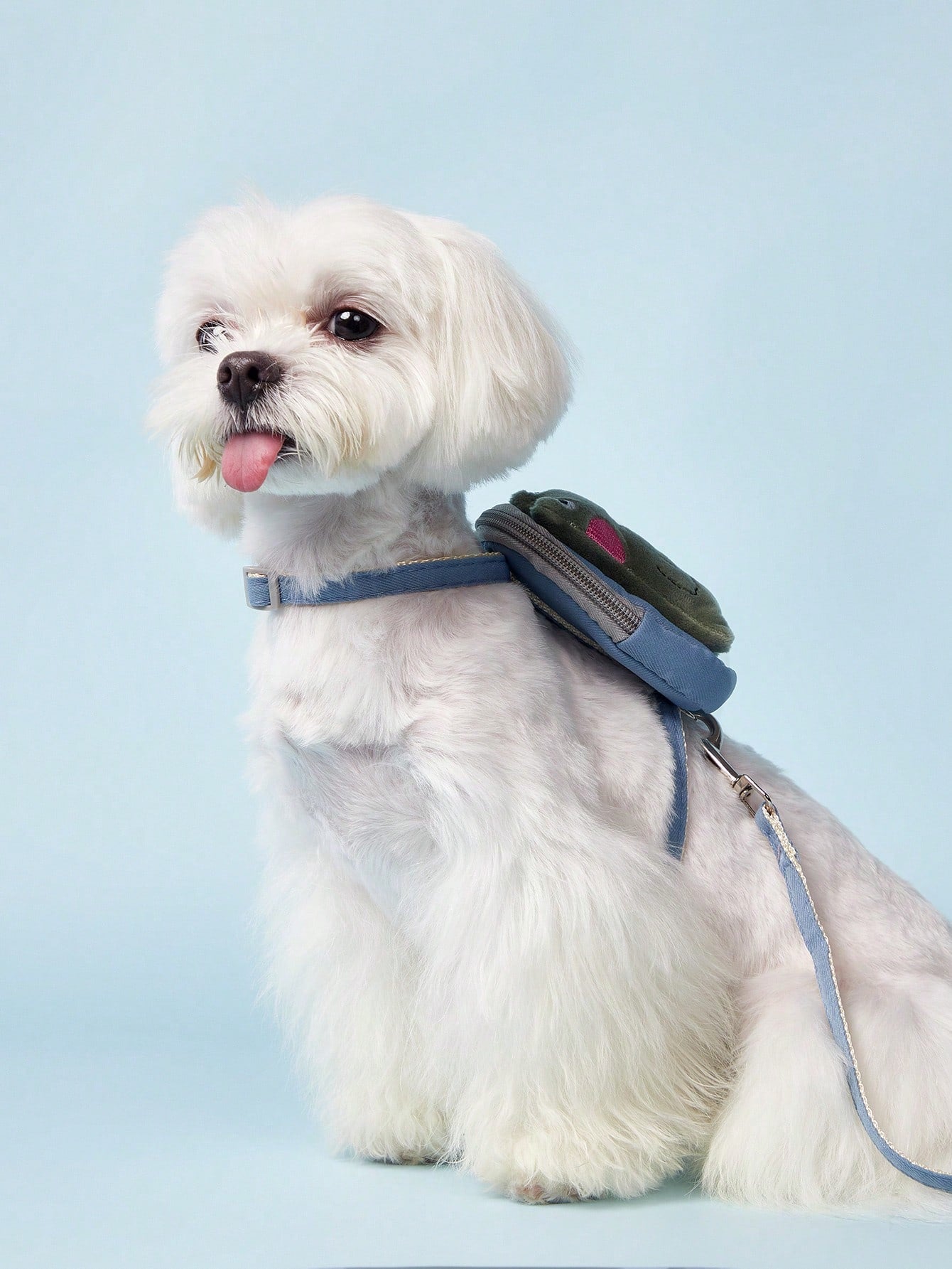 Multicolor dinosaur decor polyester pet harness with matching leash for cats and dogs, featuring an animal cartoon pattern for outdoor walks.