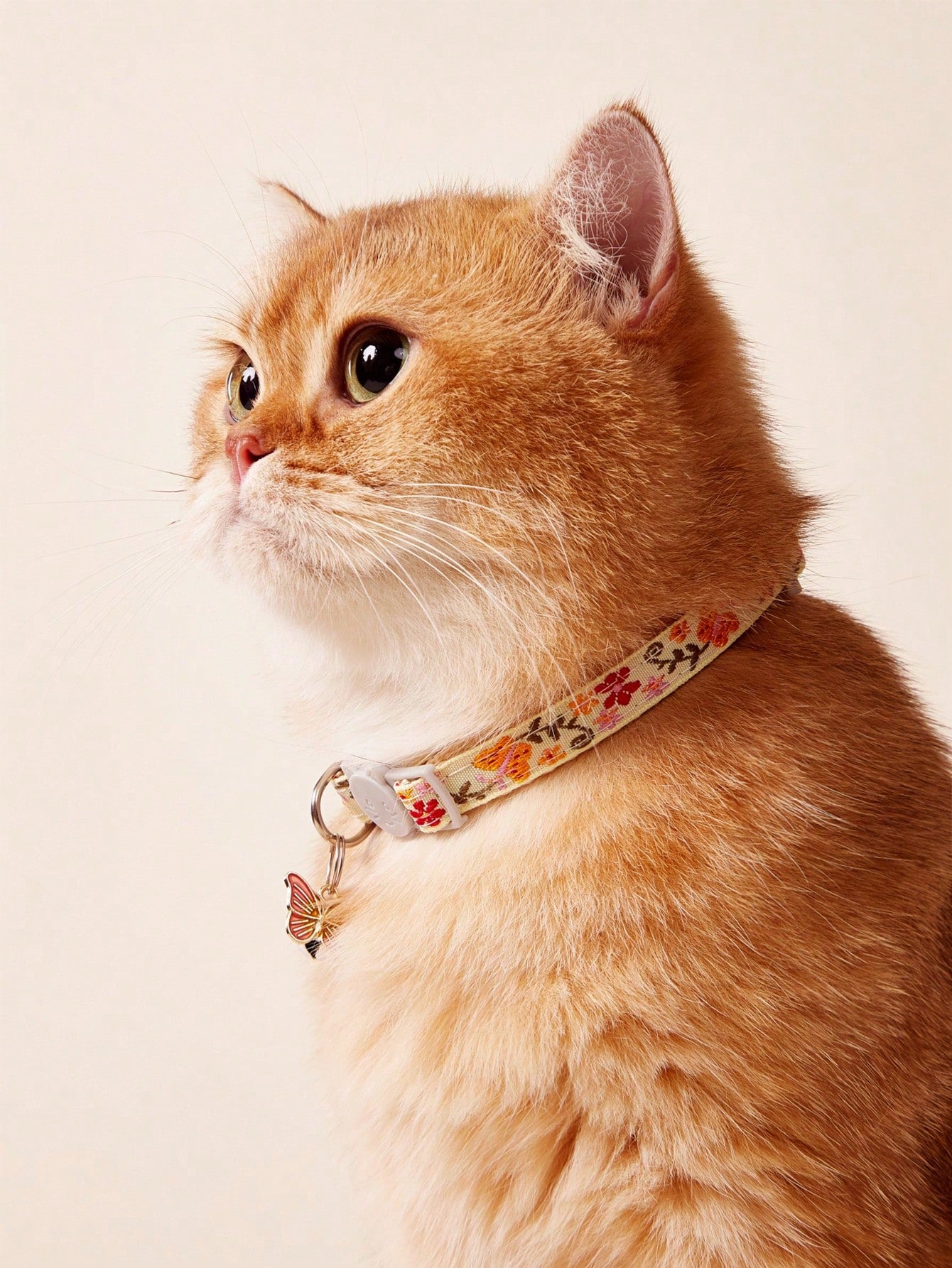 Multicolor adjustable pet collar with embroidered butterfly pattern, bell decoration, pendant, and cat face buckle for cats and small dogs