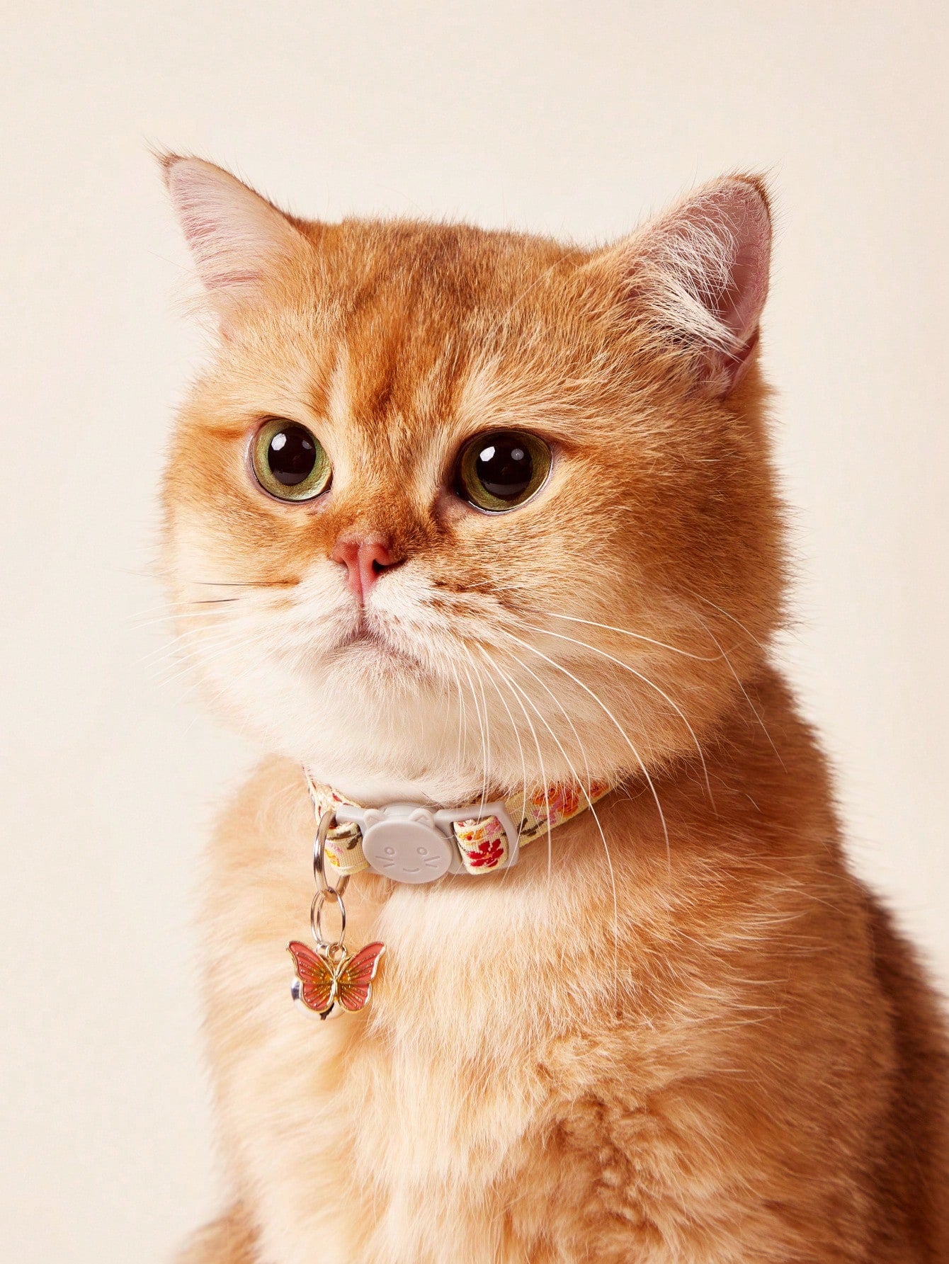 Multicolor adjustable pet collar with embroidered butterfly pattern, bell decoration, pendant, and cat face buckle for cats and small dogs