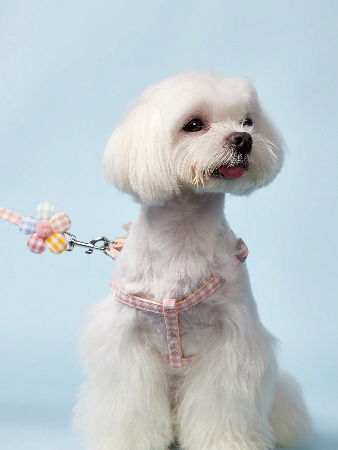 Plain pink polyamide dog leash walking rope for cats and dogs