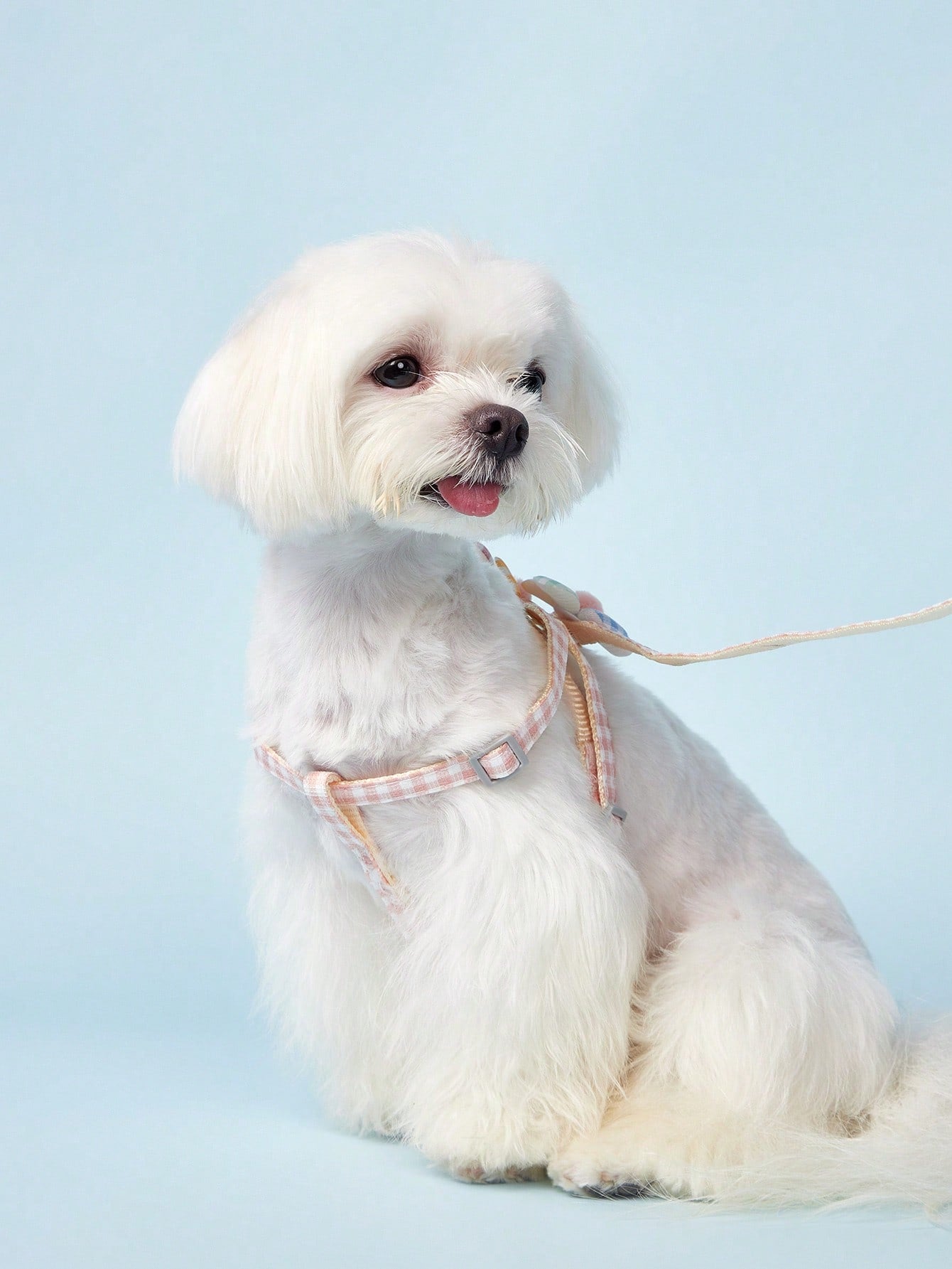 Plain pink polyamide dog leash walking rope for cats and dogs