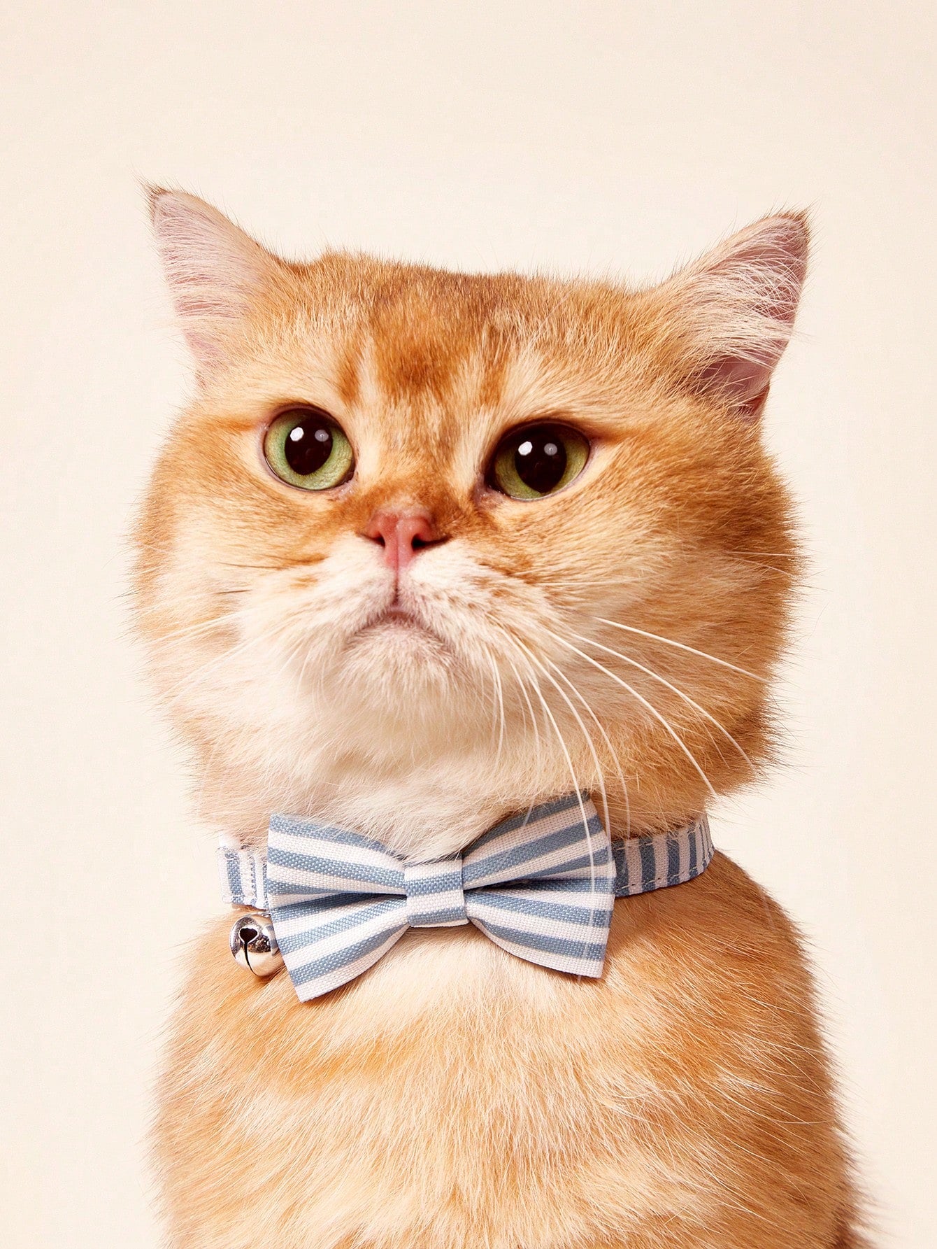 Blue and white striped bow decor pet collar made from polyvinyl chloride for cats and dogs