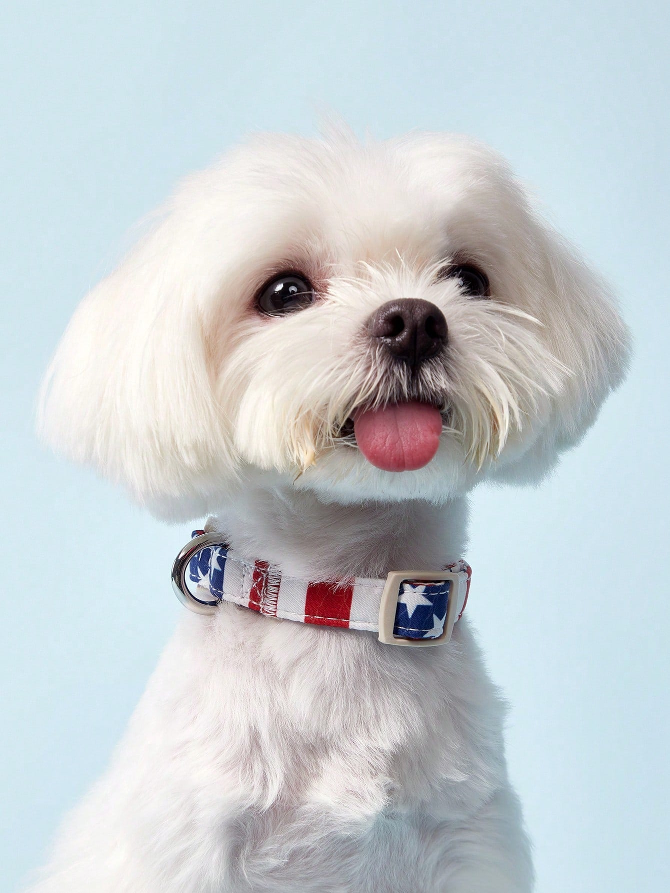 Adjustable white polyester dog collar with American flag stripe and star pattern for cats and dogs