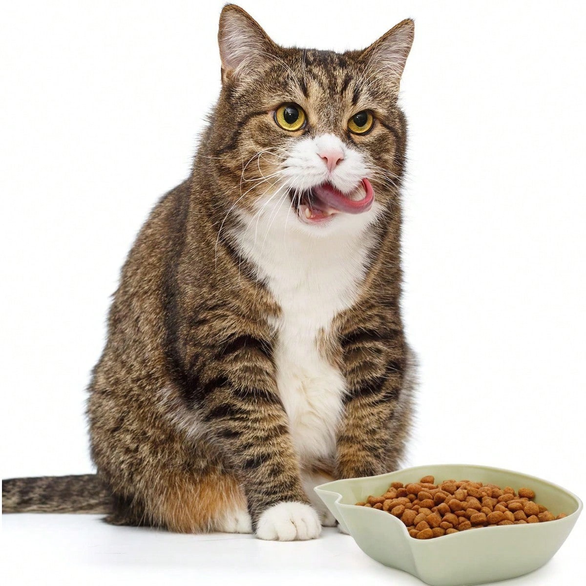 6Pcs Cat Bowls - Kitten Puppy Food Water Bowls, Multi-Purpose PP Plastic Pet Dish For Cats/Dogs/Small Animals, Pet Feeding And Water Bowl,Cute Design,Blue Pink Green.
