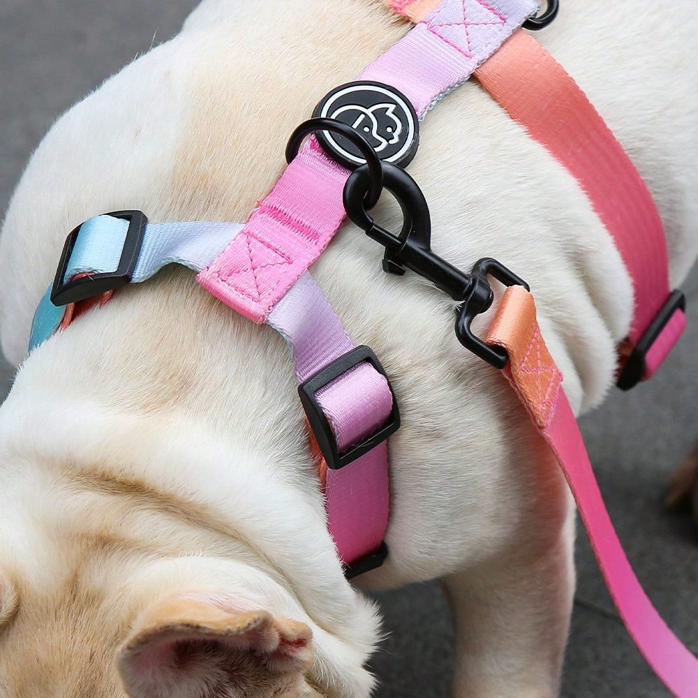 1Pc Gradient Dog Harness Small Medium Large Dog Summer Cute Pink Green Purple Blue Comfortable Adjustable Pet Harness For Small & Medium Dogs Outdoor Walking & Training
