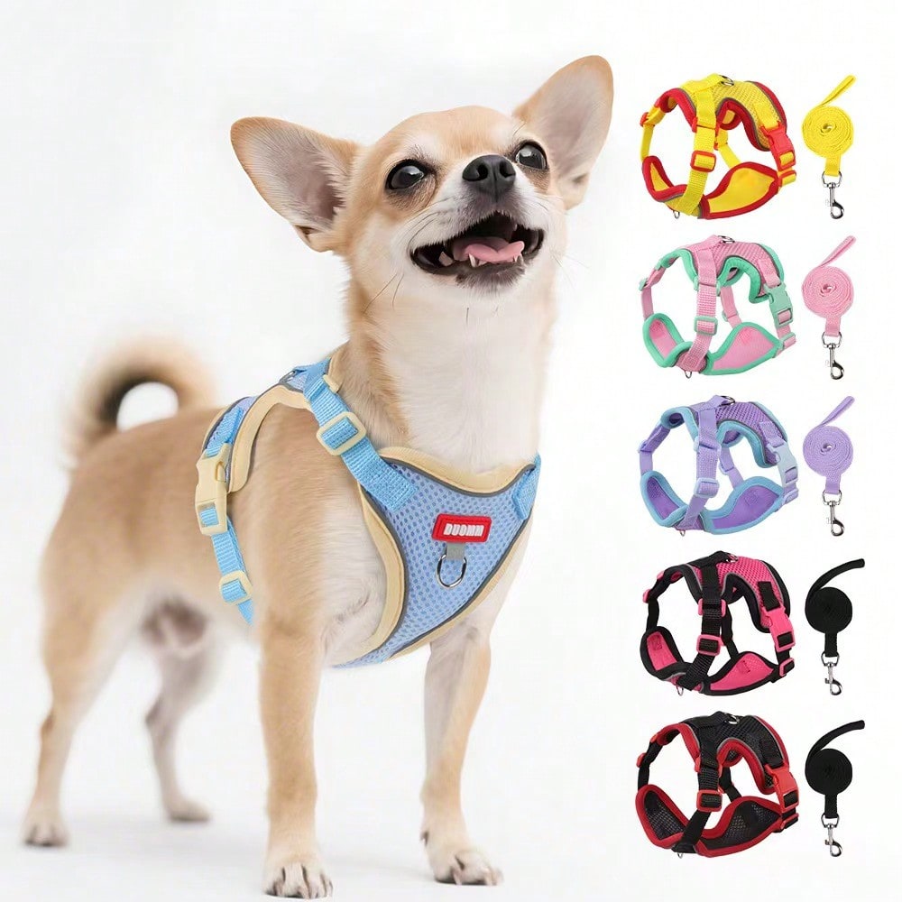 Multicolor adjustable polyester pet harness and leash set with cartoon pattern for cats and small dogs, designed for breathable outdoor walking.