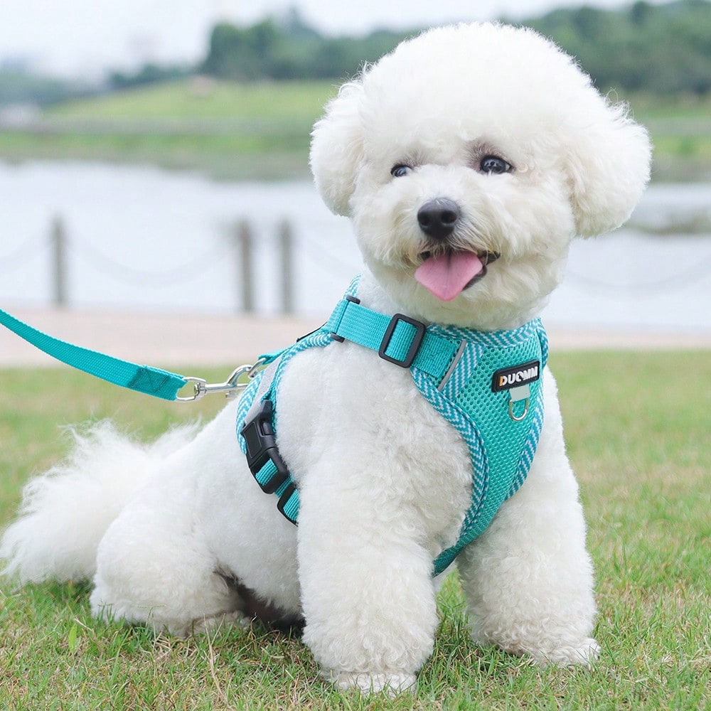 Army green printed pet harness and leash set with breathable mesh, adjustable chest harness, reflective details, and soft polyester design for cats and small dogs.