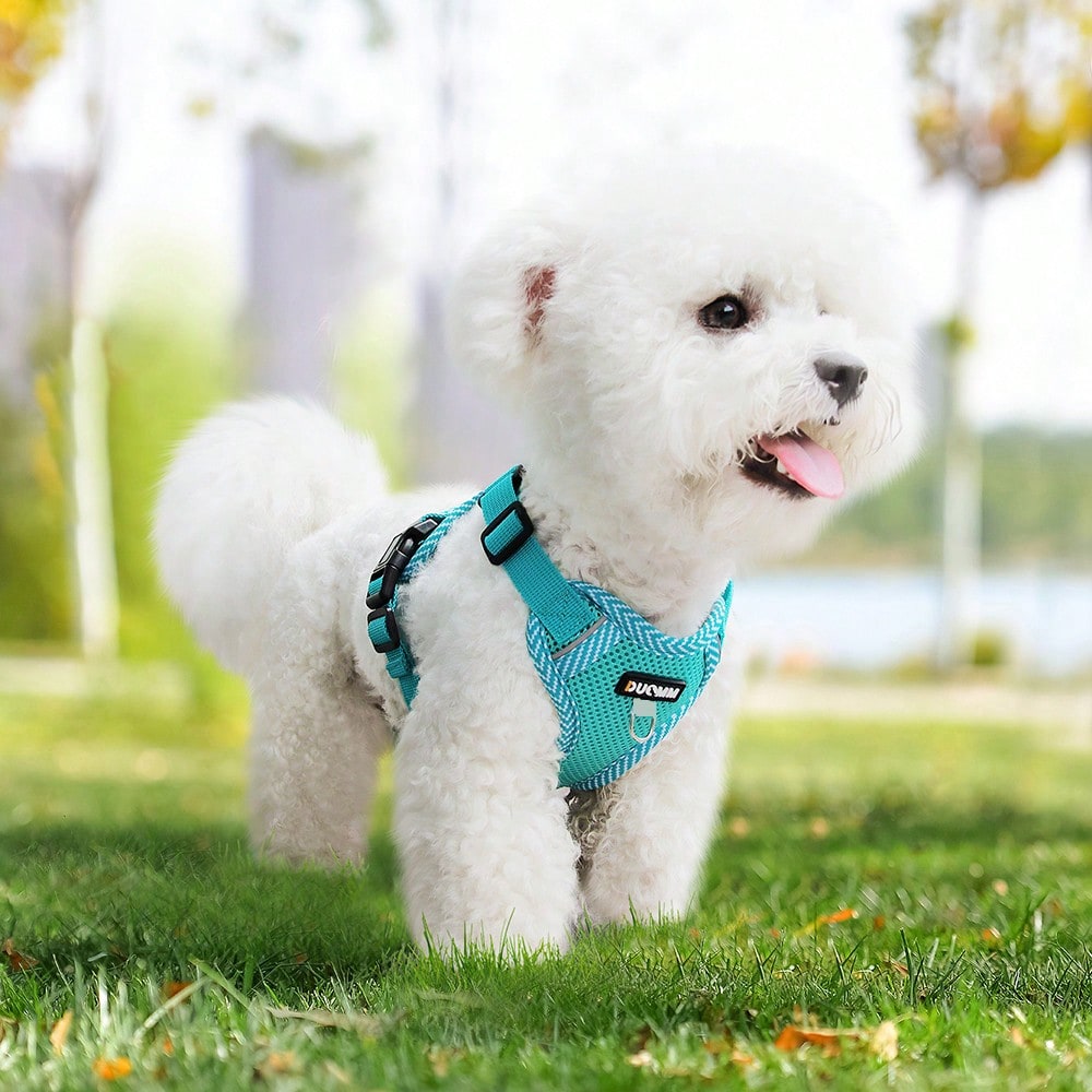 Army green printed pet harness and leash set with breathable mesh, adjustable chest harness, reflective details, and soft polyester design for cats and small dogs.