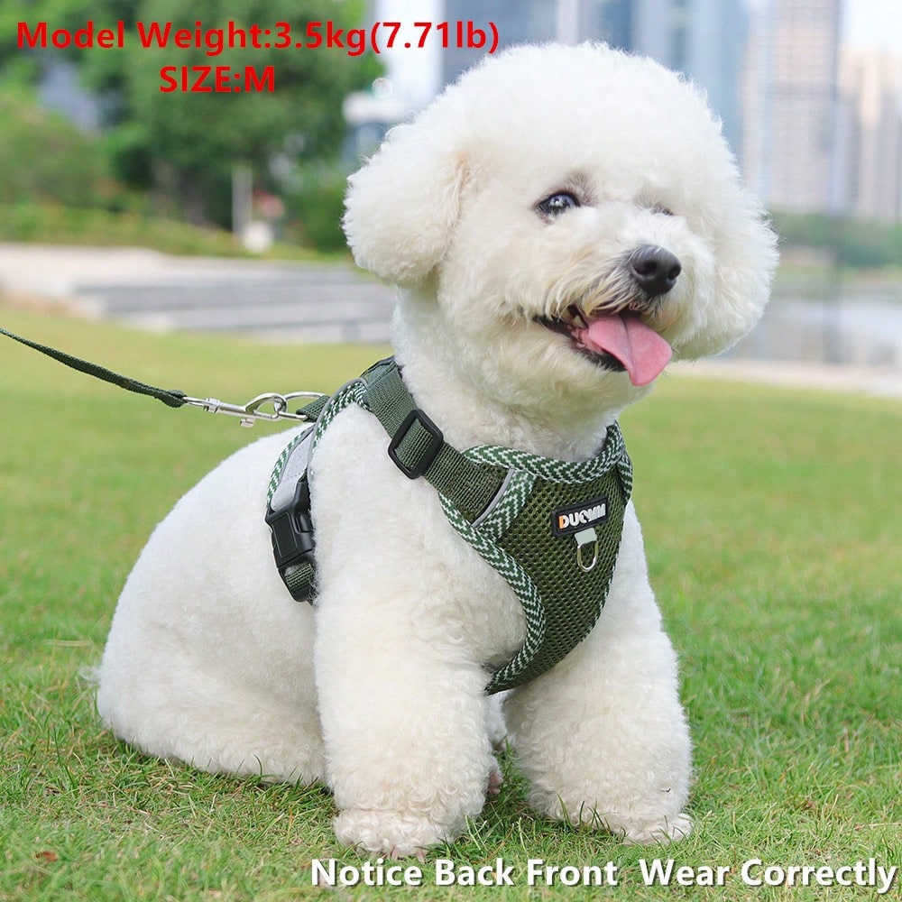 Army green printed pet harness and leash set with breathable mesh, adjustable chest harness, reflective details, and soft polyester design for cats and small dogs.