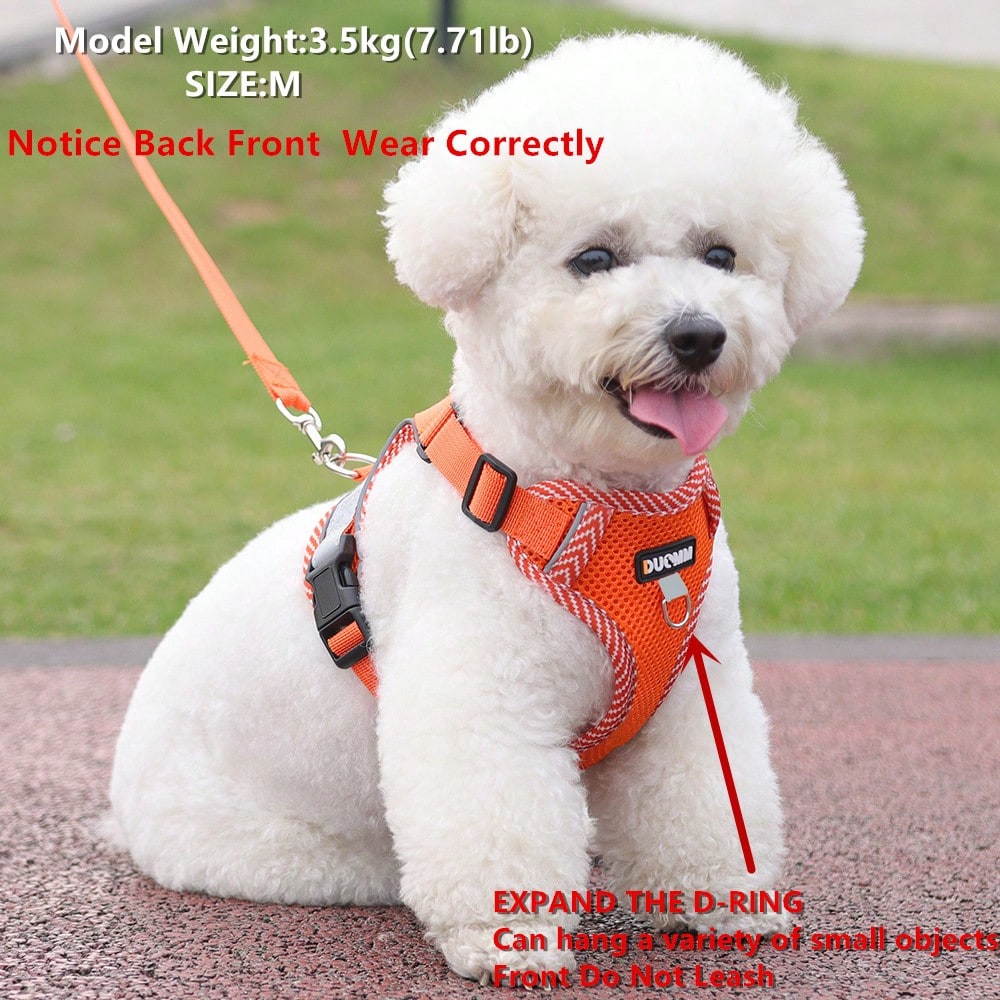 Army green printed pet harness and leash set with breathable mesh, adjustable chest harness, reflective details, and soft polyester design for cats and small dogs.
