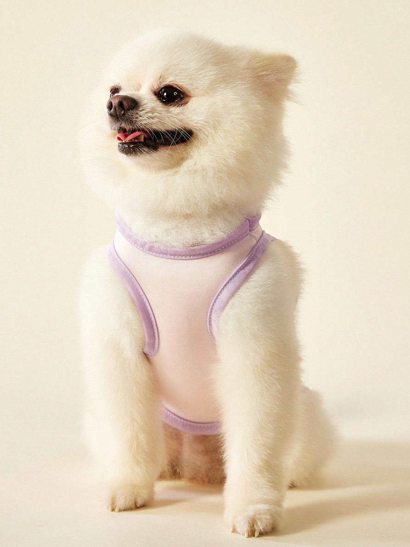 2pc Pet Cat Dog Universal Pink Daisy Cute Print Casual Comfortable Breathable Dog Vest