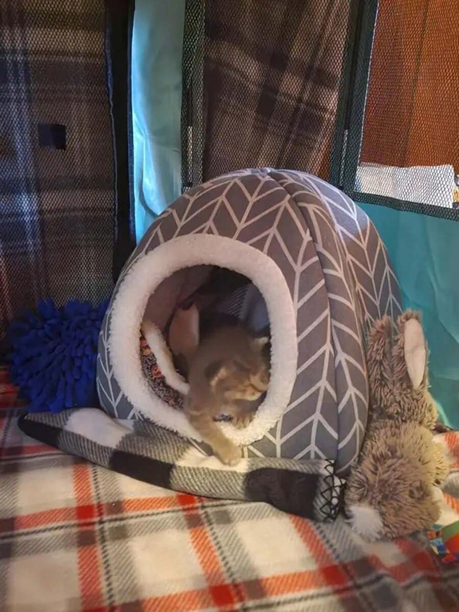 Pink strawberry pattern hamster bed hideaway nest made of soft polyester for small pets.