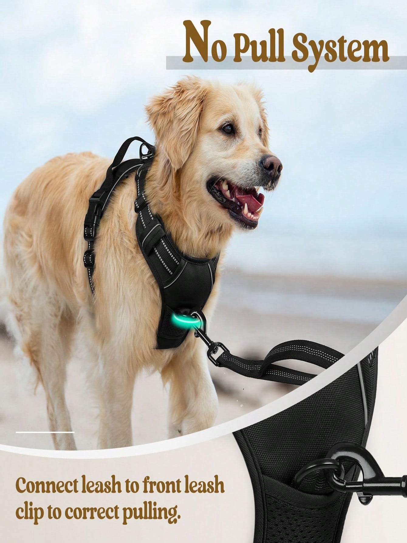 Anti-Pull Dog Harness With Dual Leash Clips, Adjustable Soft Padded Reflective Oxford Vest (No Choking), Easy-Control Handle – Fits All Dog Sizes. Please Check Sizing Before Ordering! (Harness Only, Leash Sold Separately!!)