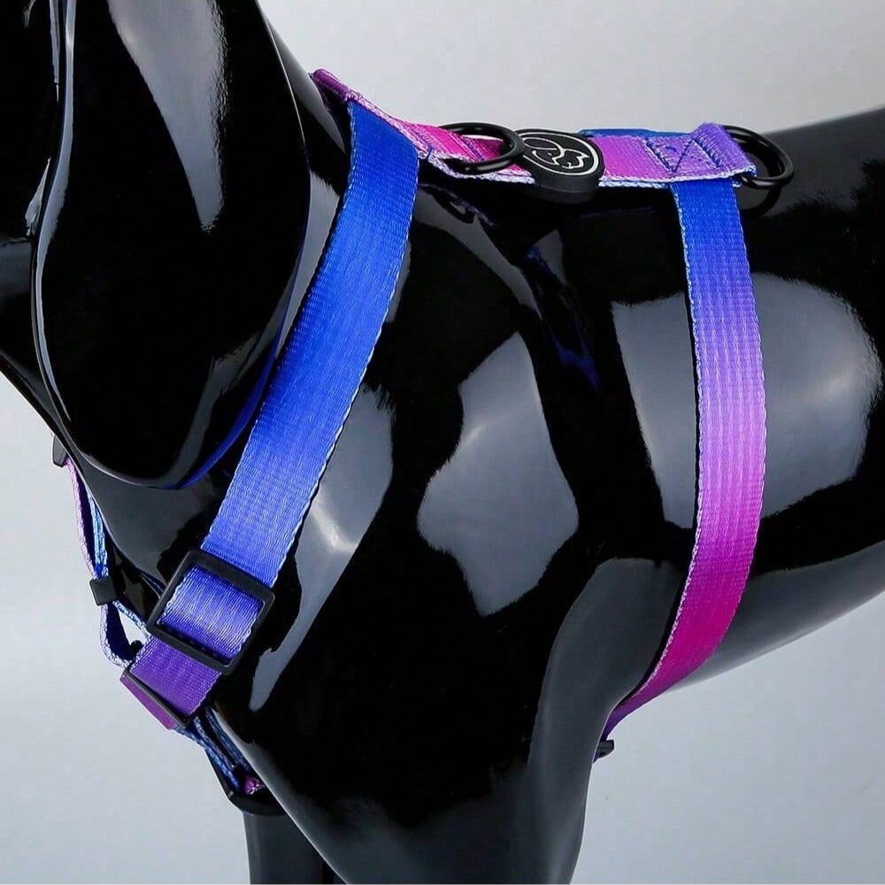 1Pc Gradient Dog Harness Small Medium Large Dog Summer Cute Pink Green Purple Blue Comfortable Adjustable Pet Harness For Small & Medium Dogs Outdoor Walking & Training