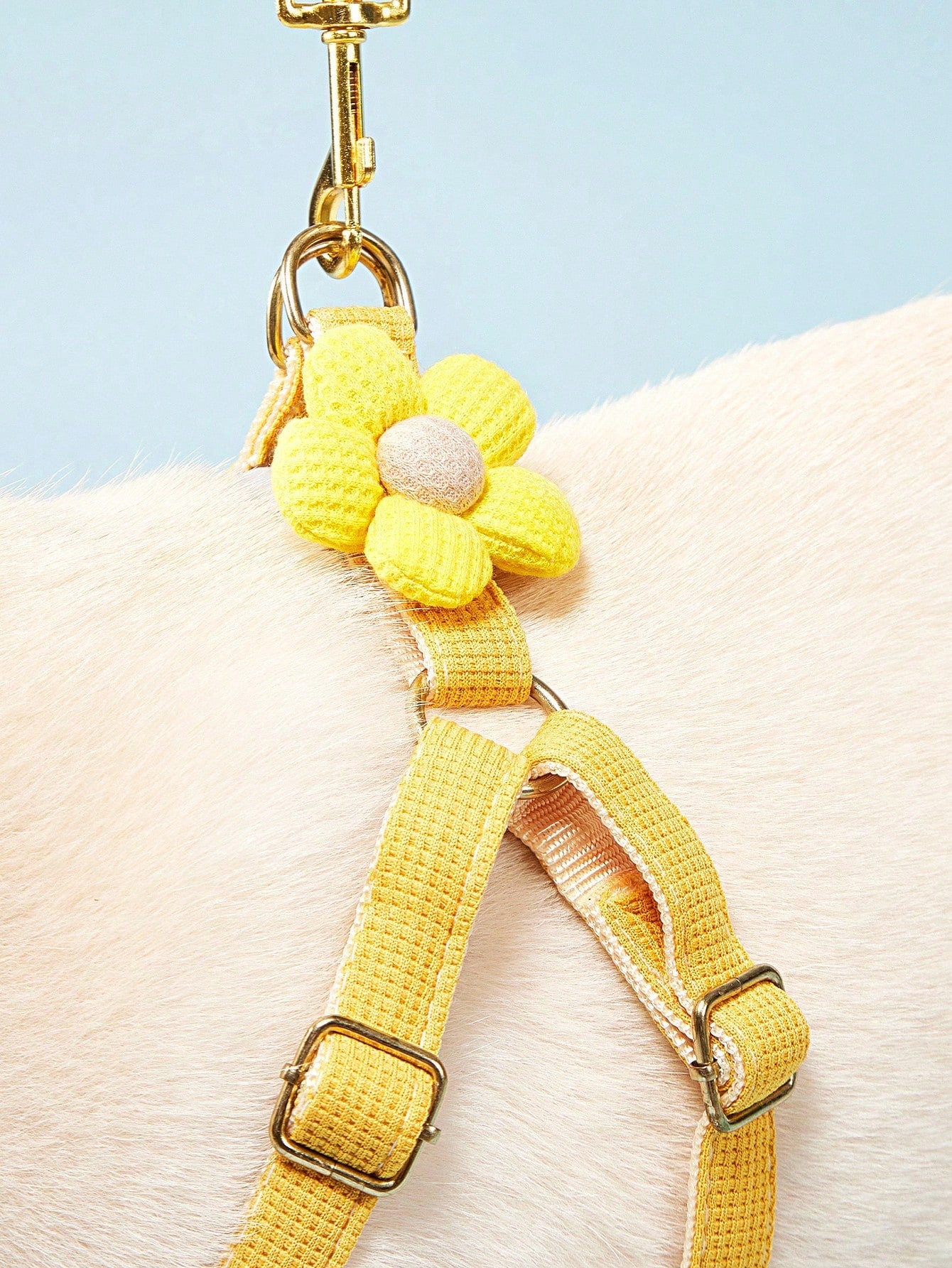 Multicolor plain dog chest and back harness leash made from polyamide for small and medium dogs, suitable for Teddy, Poodle, and daily walking.