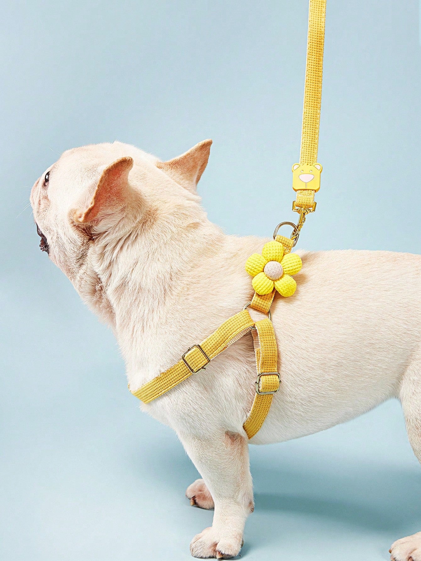 Multicolor plain dog chest and back harness leash made from polyamide for small and medium dogs, suitable for Teddy, Poodle, and daily walking.