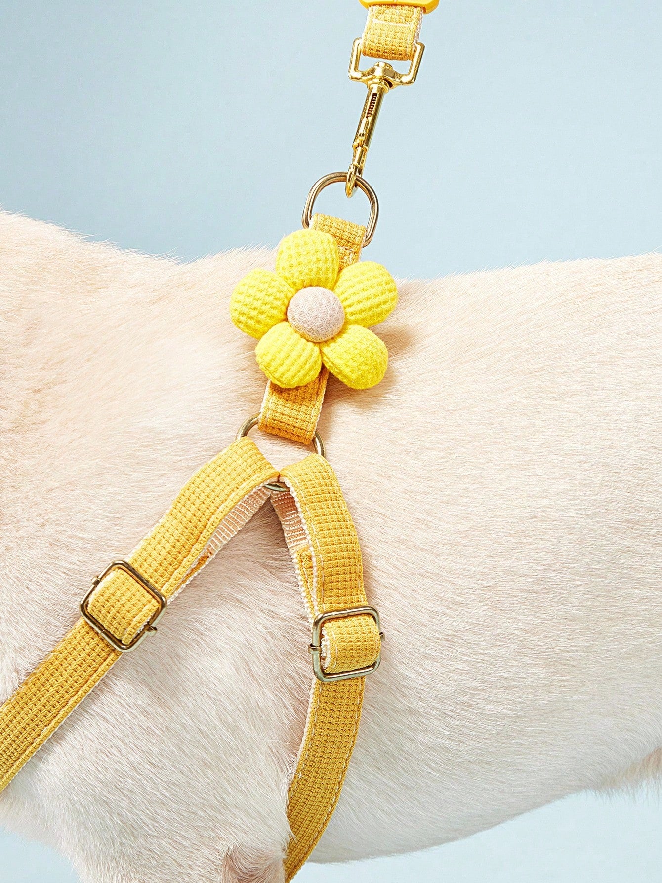 Multicolor plain dog chest and back harness leash made from polyamide for small and medium dogs, suitable for Teddy, Poodle, and daily walking.