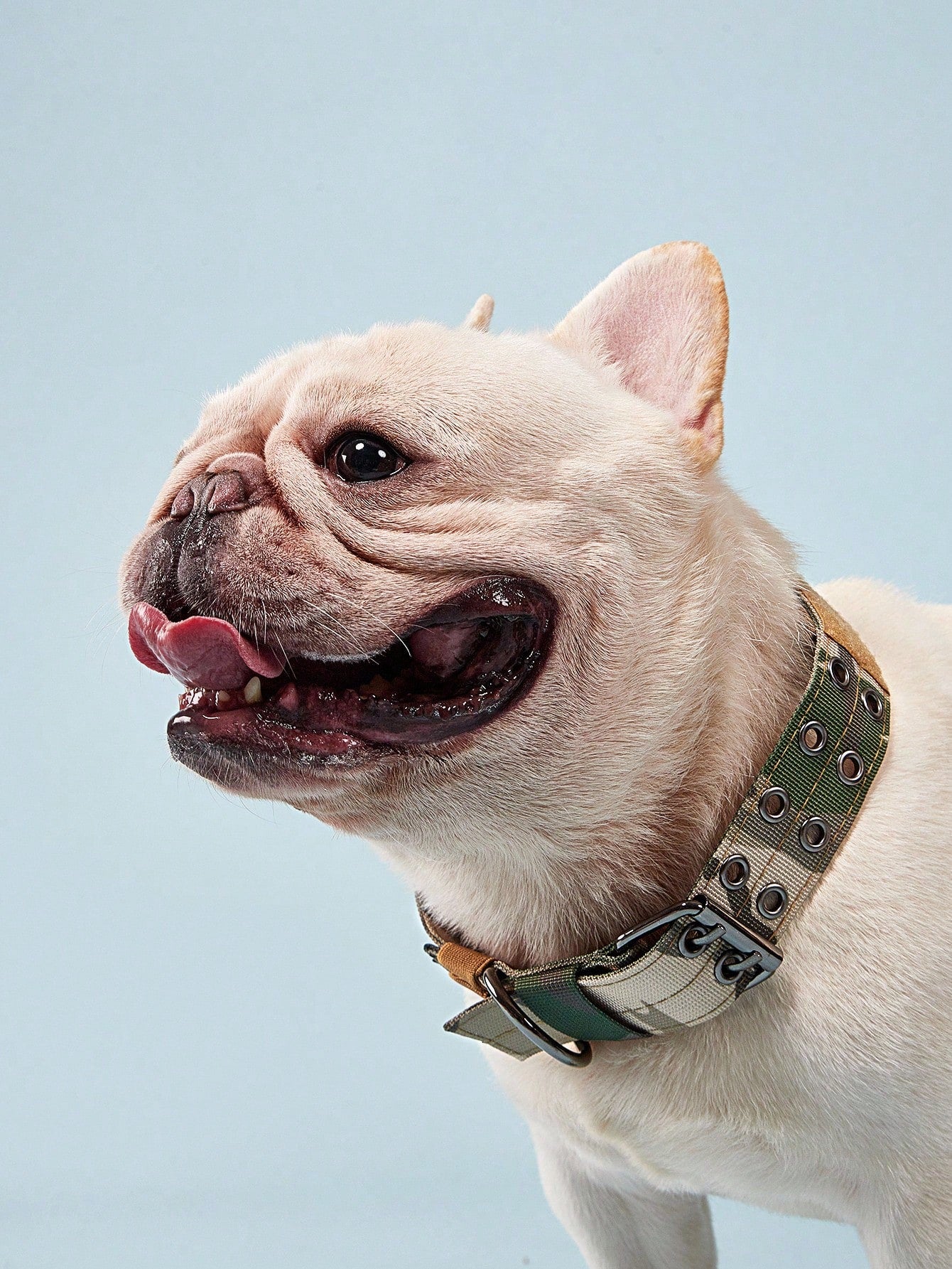 Adjustable multicolor nylon dog collar with tactical training design and patch panel for medium and large dogs