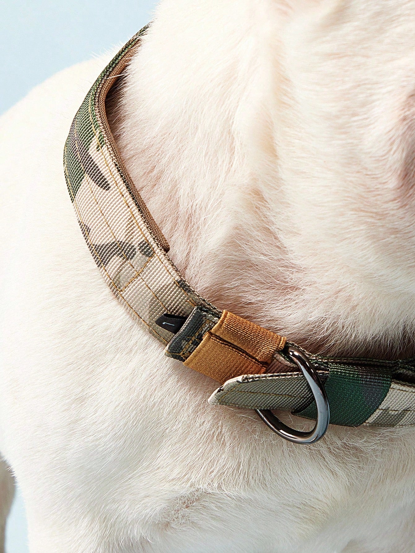 Adjustable multicolor nylon dog collar with tactical training design and patch panel for medium and large dogs