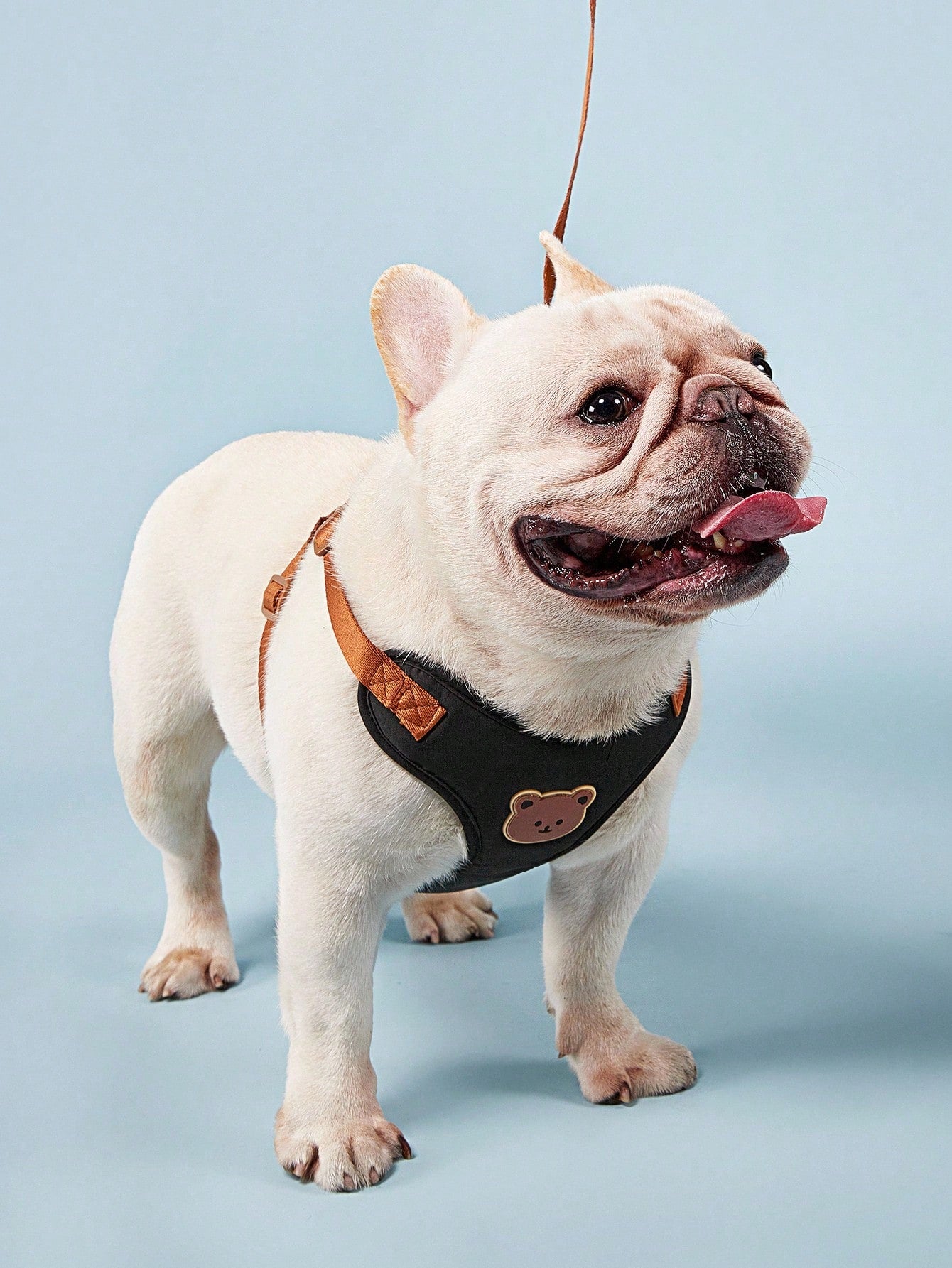 Black polyester dog harness and leash set with cute bear animal cartoon design for small breed dogs such as poodles, suitable for outdoor walks.