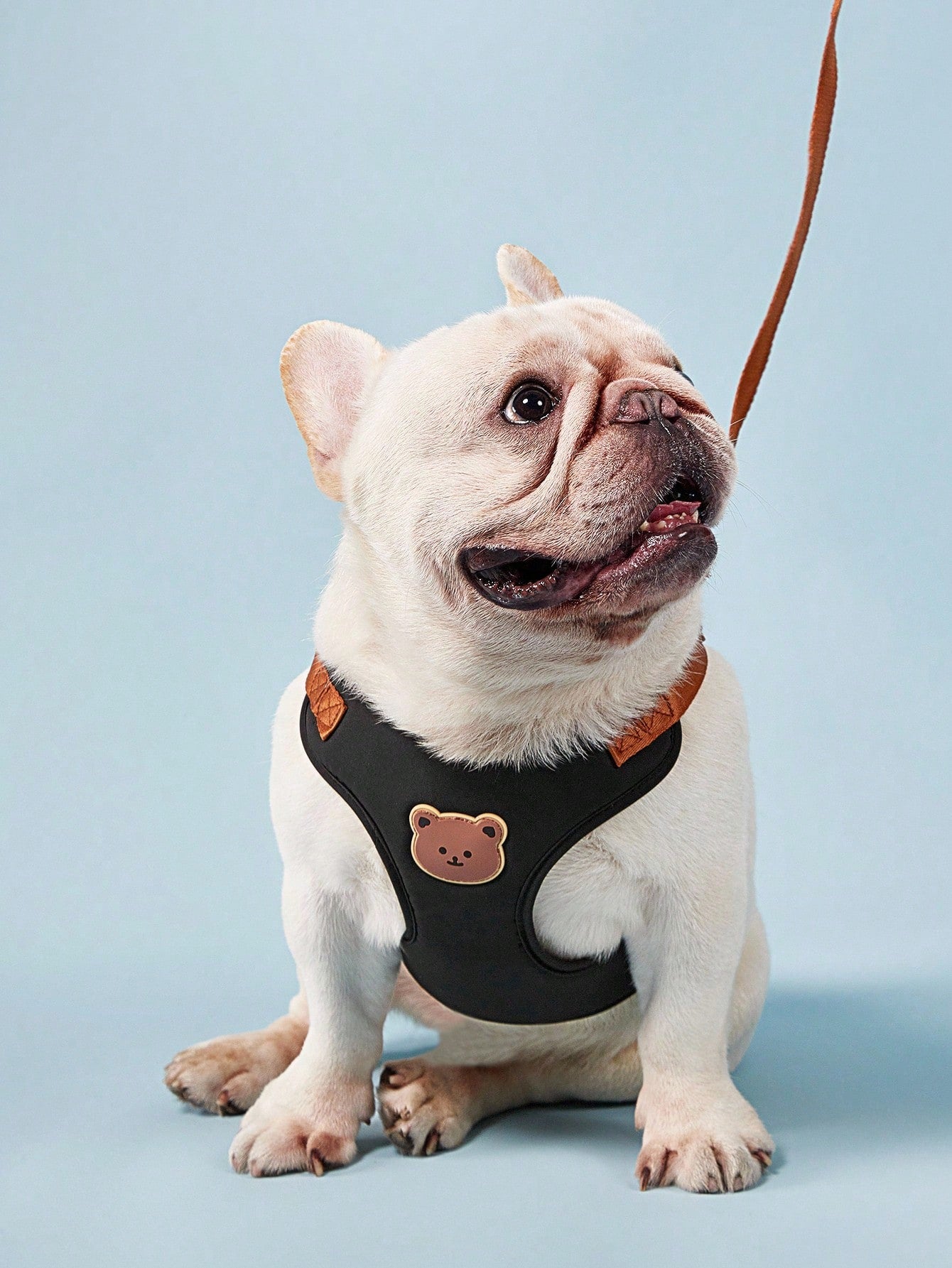 Black polyester dog harness and leash set with cute bear animal cartoon design for small breed dogs such as poodles, suitable for outdoor walks.