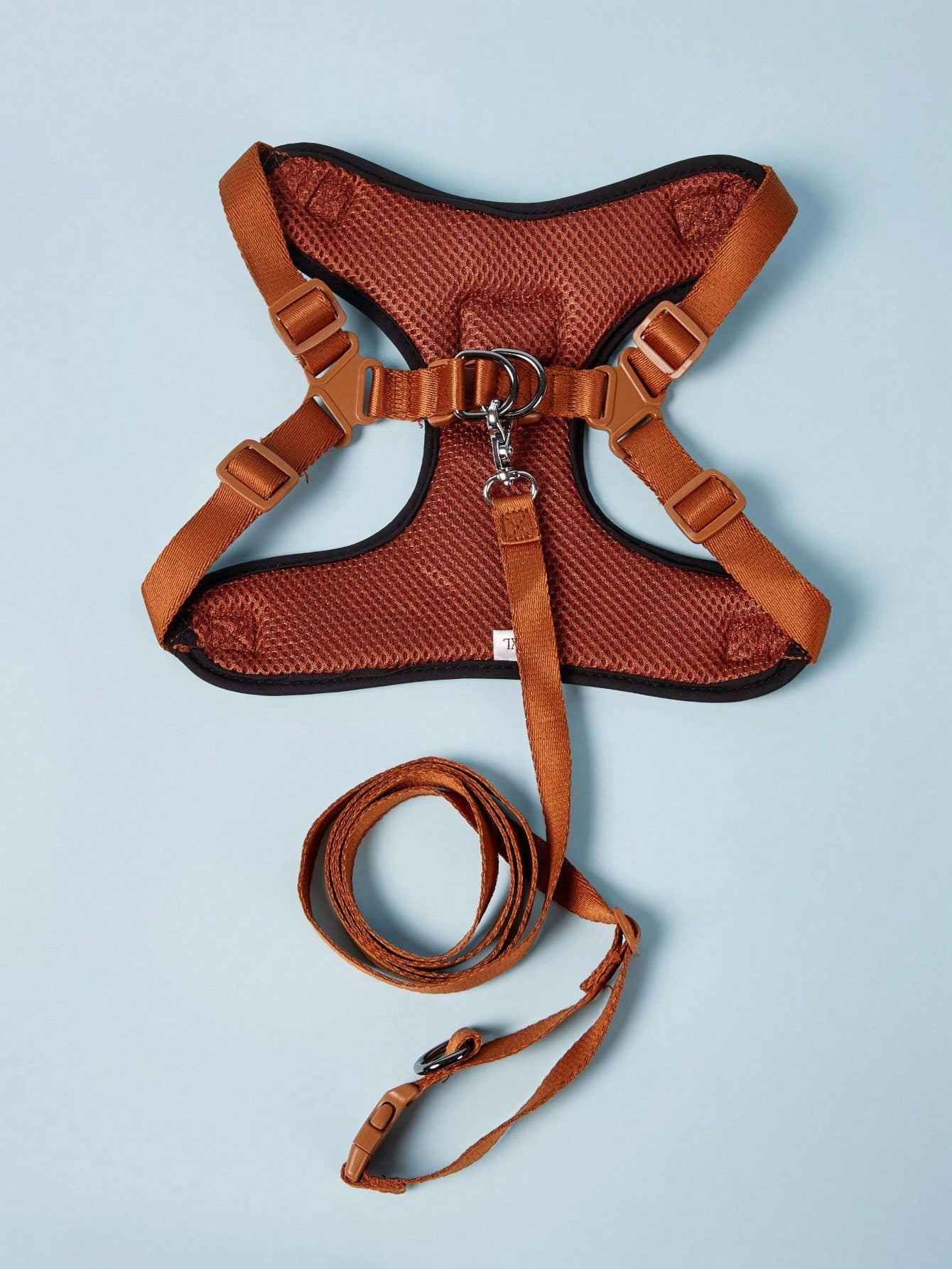 Black polyester dog harness and leash set with cute bear animal cartoon design for small breed dogs such as poodles, suitable for outdoor walks.