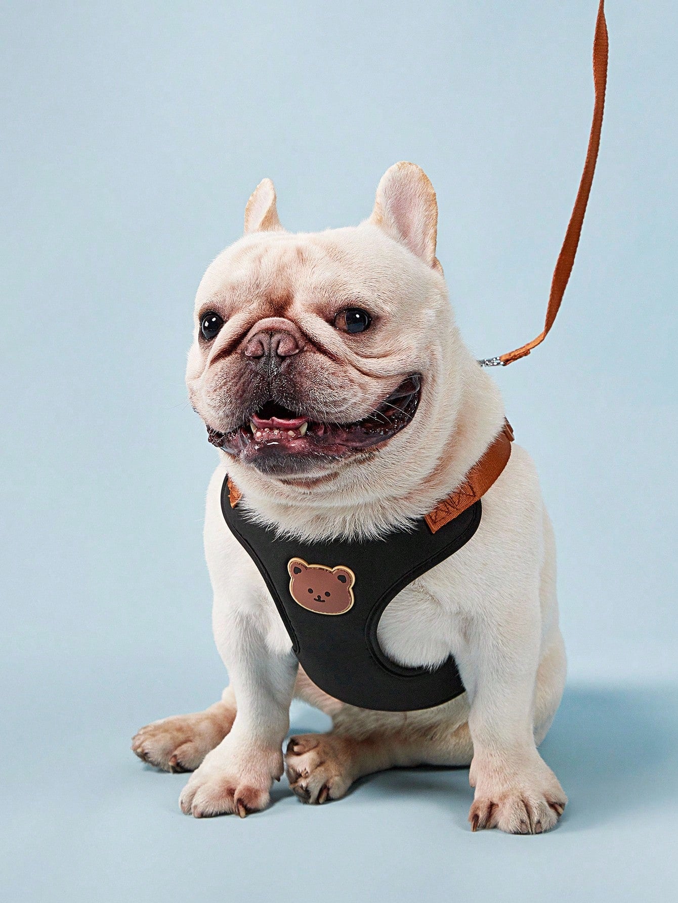 Black polyester dog harness and leash set with cute bear animal cartoon design for small breed dogs such as poodles, suitable for outdoor walks.