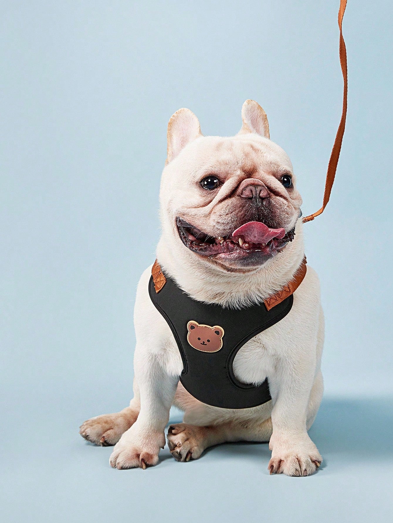 Black polyester dog harness and leash set with cute bear animal cartoon design for small breed dogs such as poodles, suitable for outdoor walks.